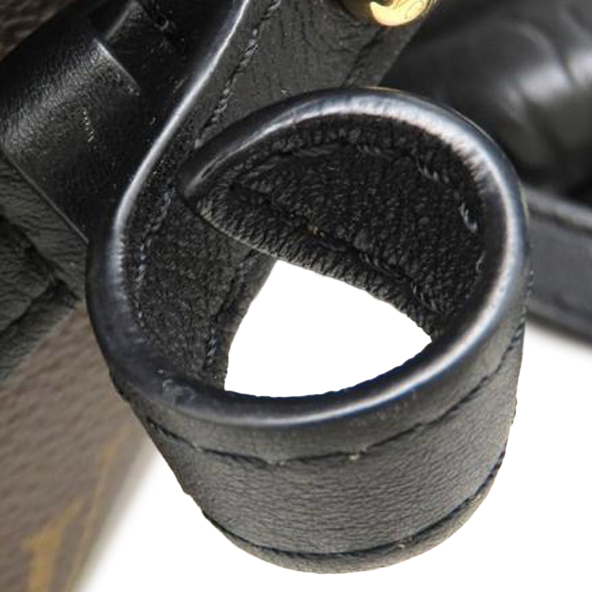 Louis Vuitton Monogram Palm Springs MM