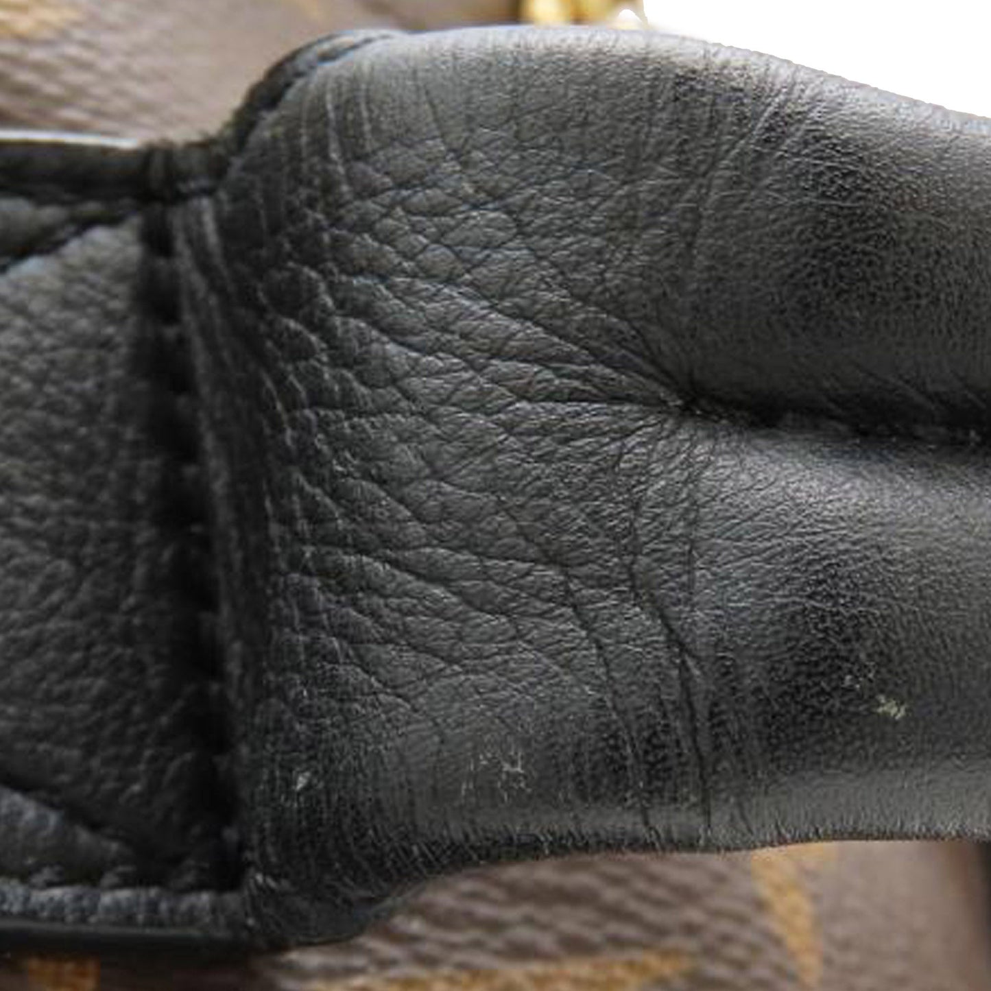 Louis Vuitton Monogram Palm Springs MM