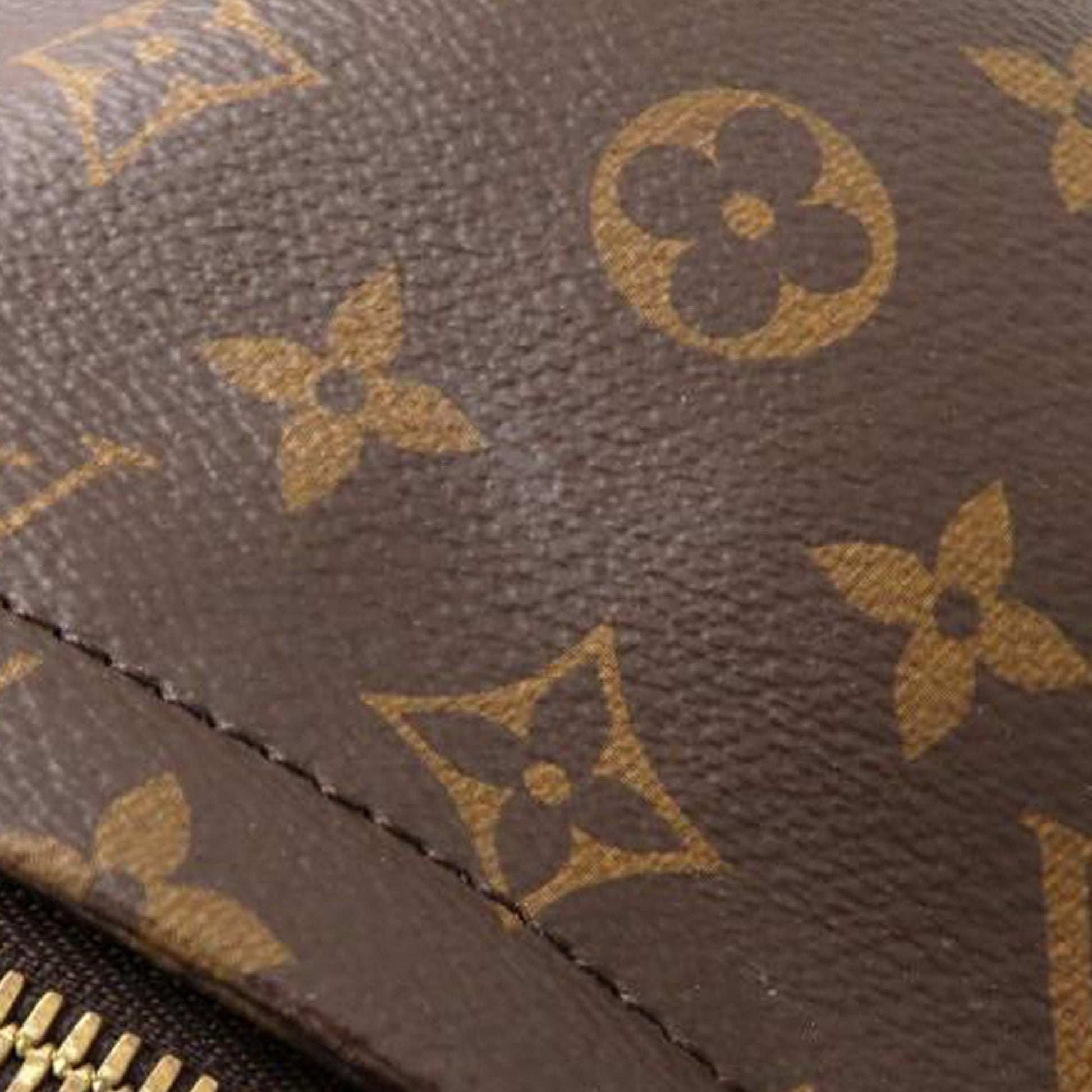 Louis Vuitton Monogram Palm Springs MM