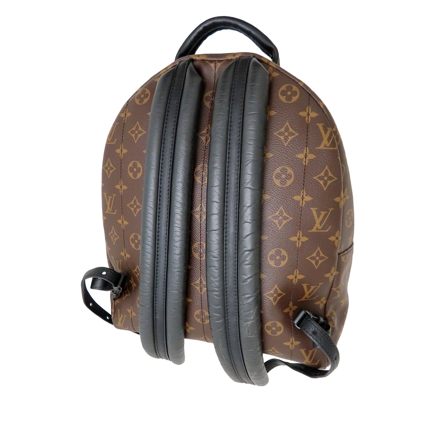 Louis Vuitton Monogram Palm Springs MM