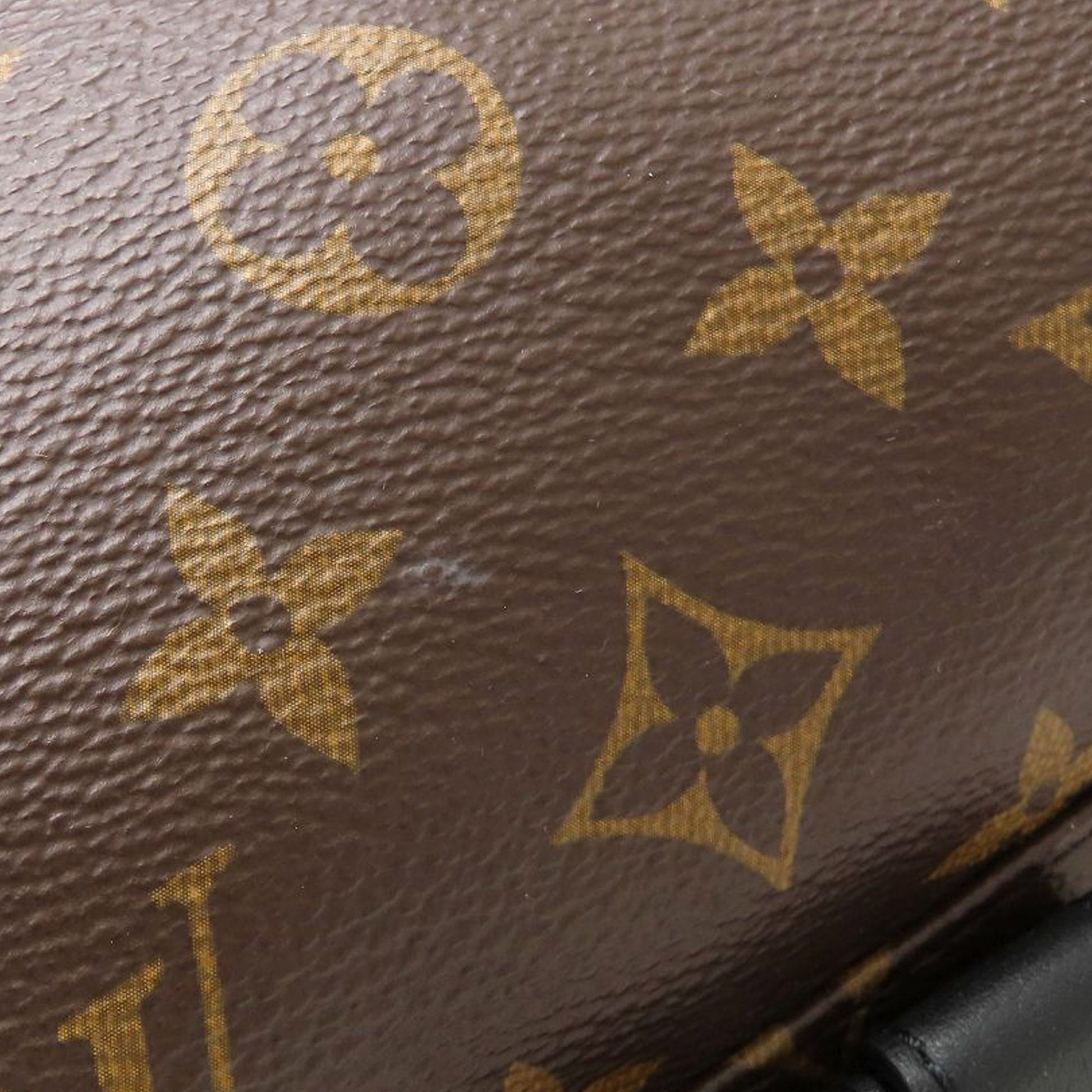 Louis Vuitton Monogram Palm Springs MM