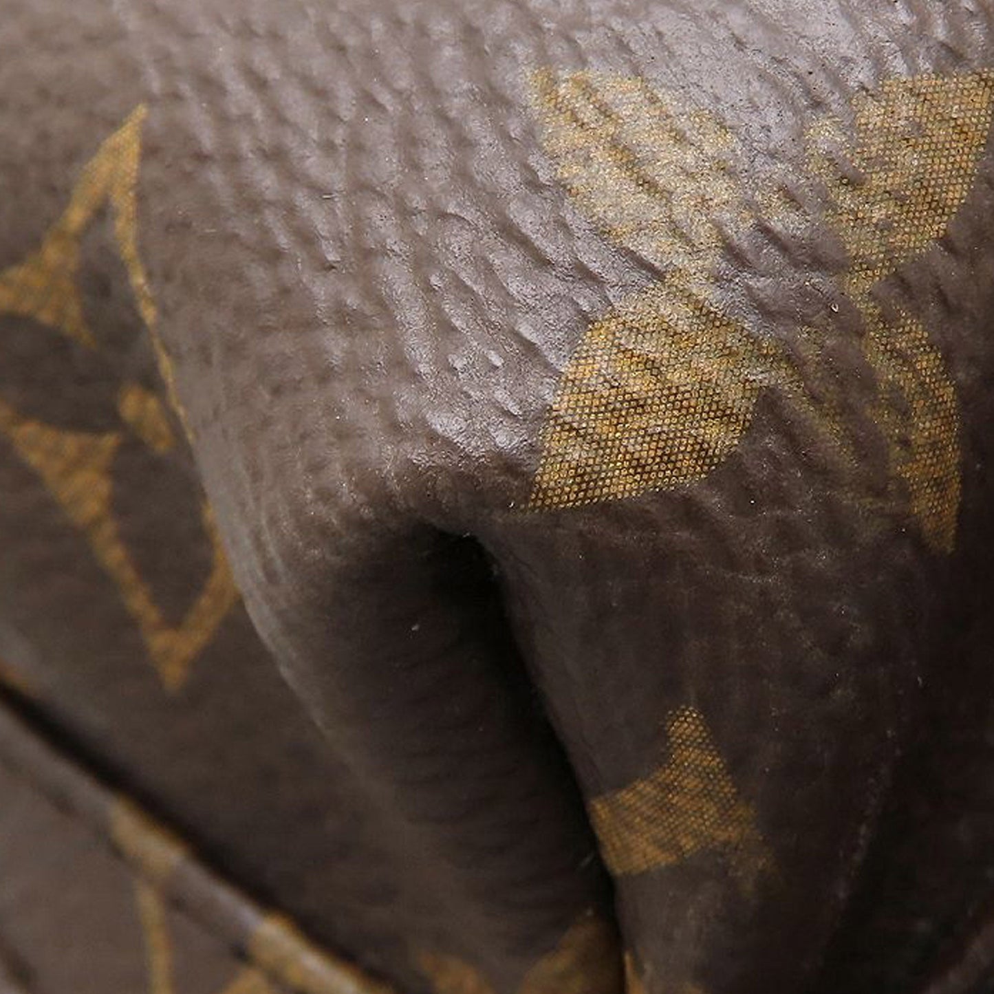 Louis Vuitton Monogram Palm Springs MM