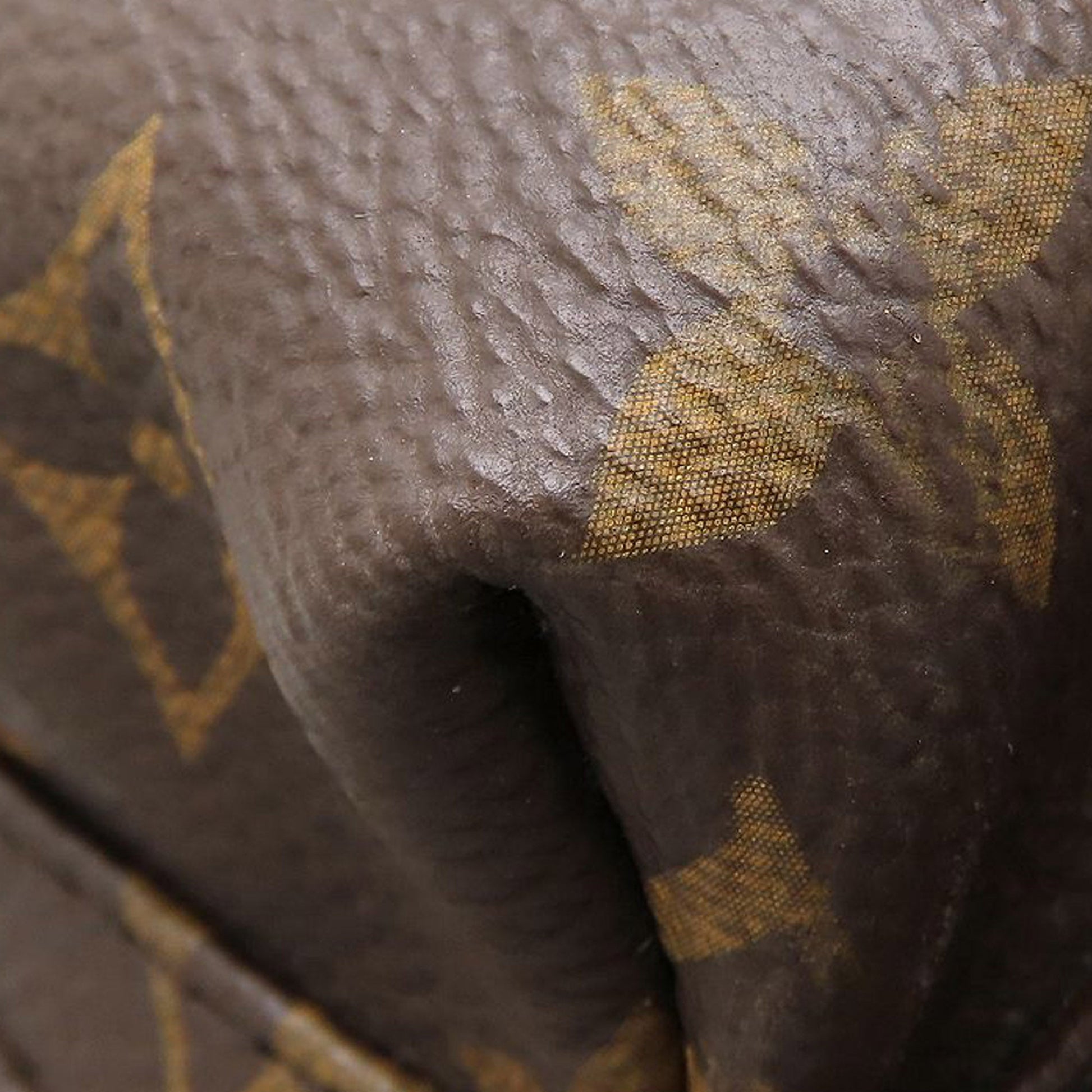 Louis Vuitton Monogram Palm Springs MM