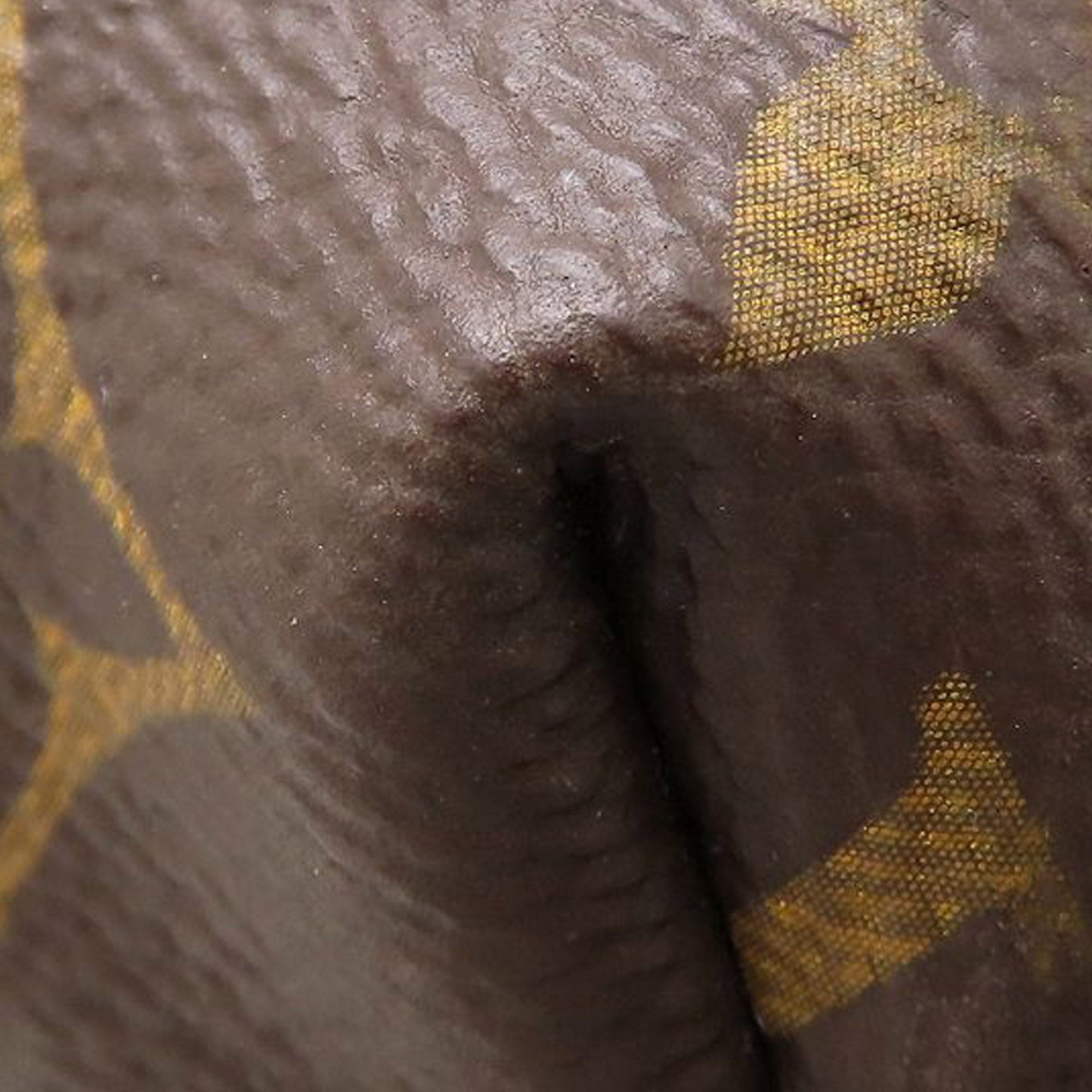 Louis Vuitton Monogram Palm Springs MM