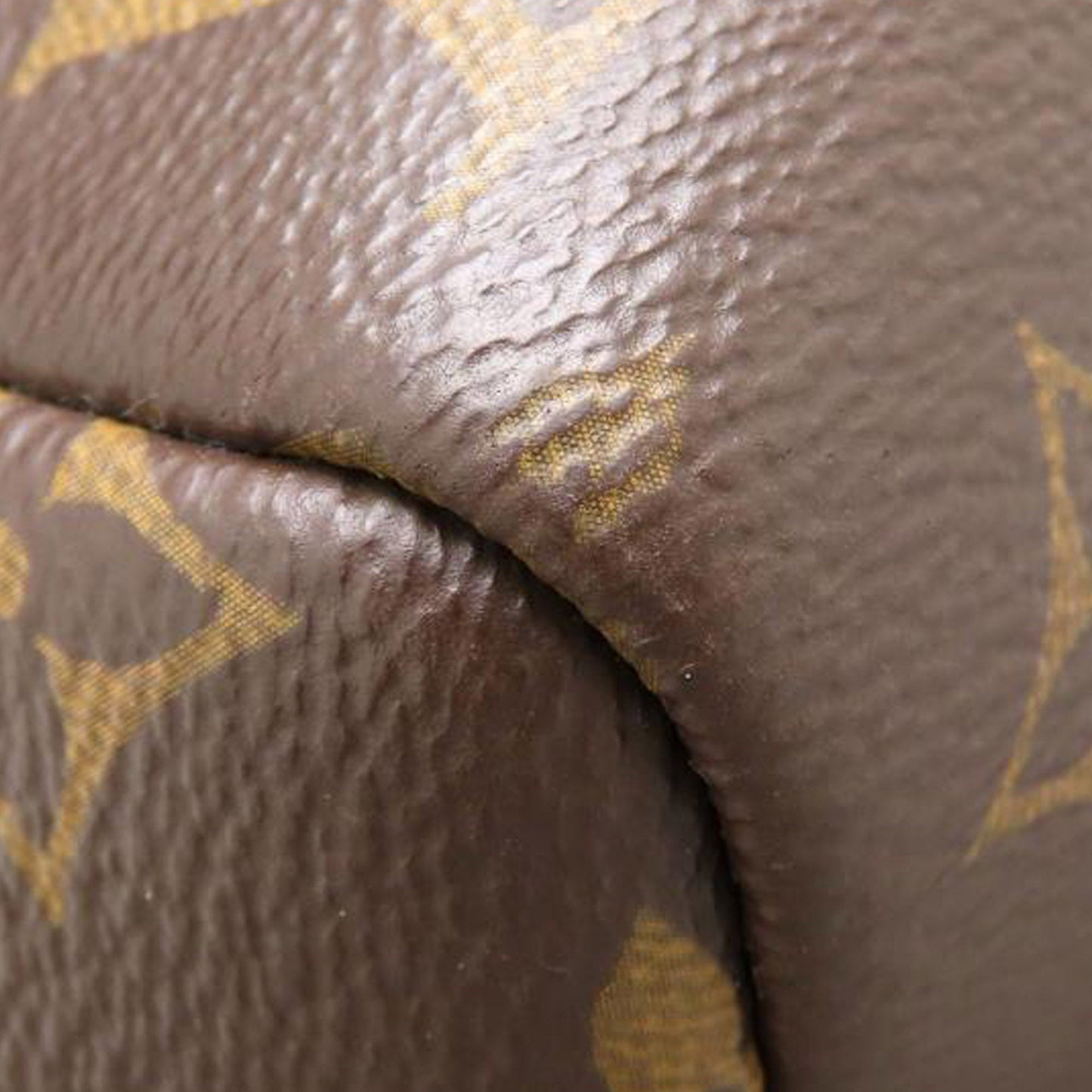 Louis Vuitton Monogram Palm Springs MM