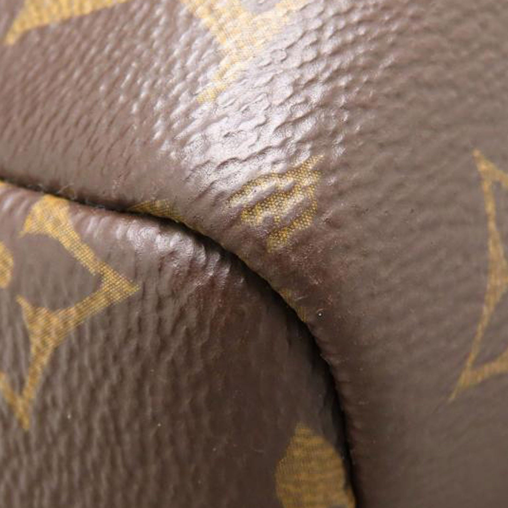Louis Vuitton Monogram Palm Springs MM