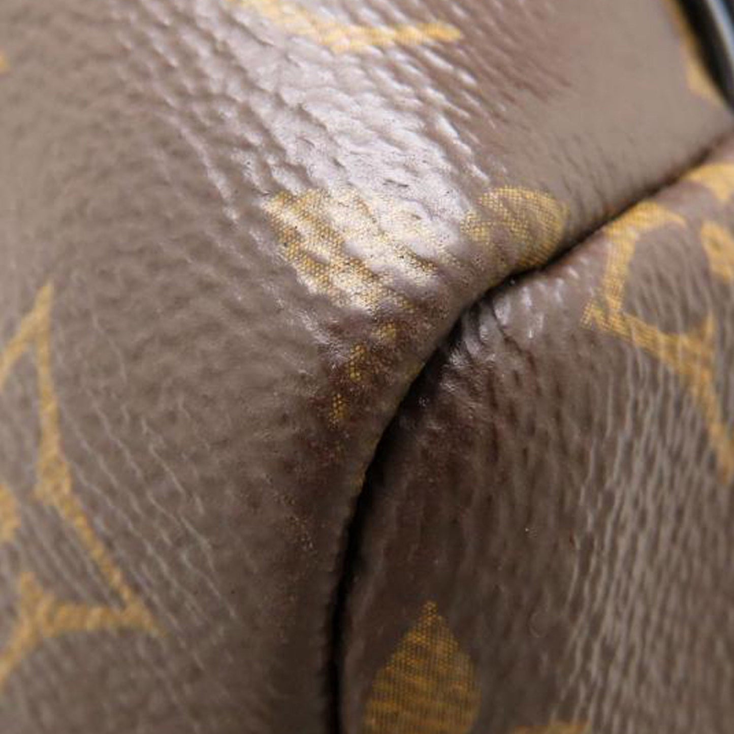 Louis Vuitton Monogram Palm Springs MM