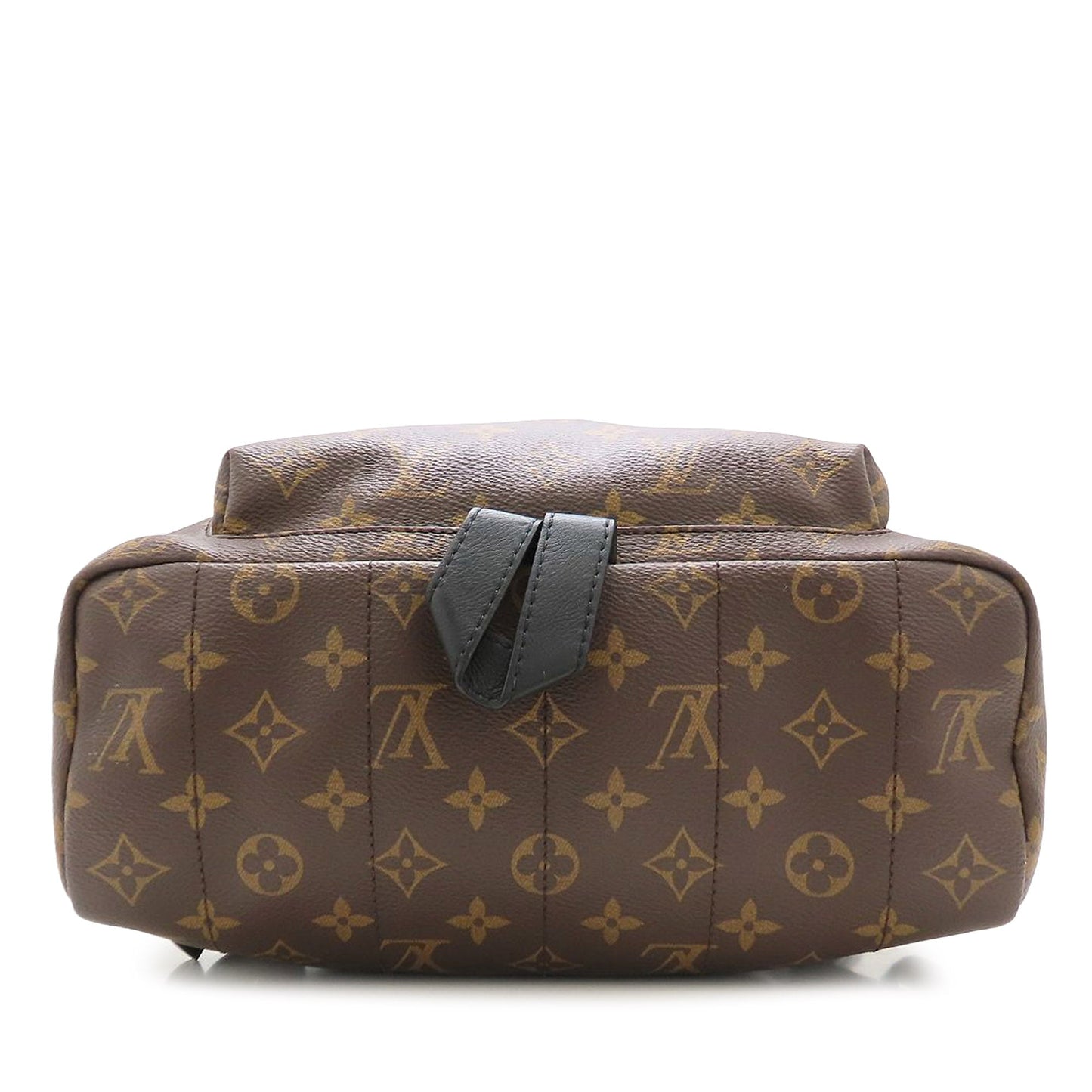 Louis Vuitton Monogram Palm Springs MM