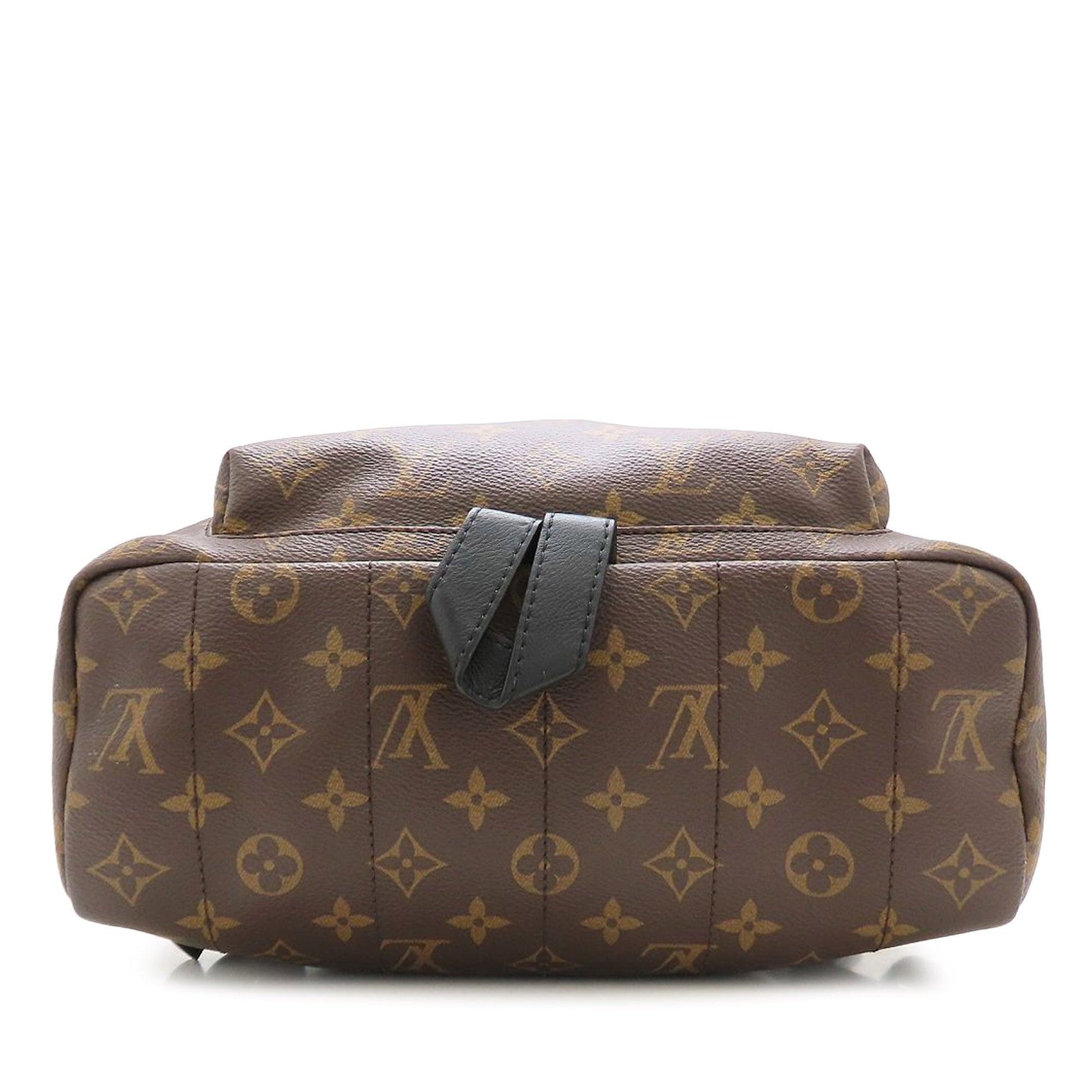 Louis Vuitton Monogram Palm Springs MM