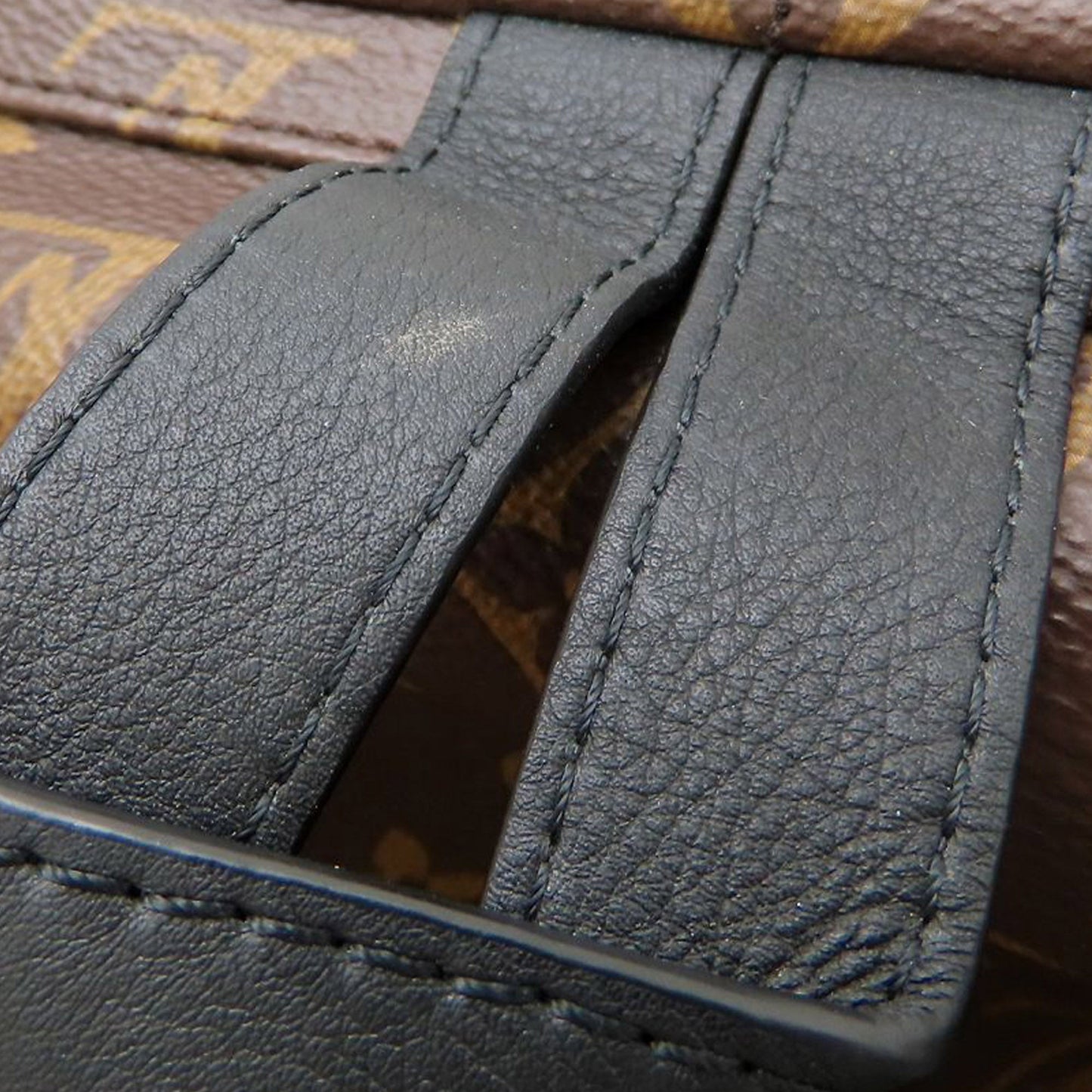 Louis Vuitton Monogram Palm Springs MM