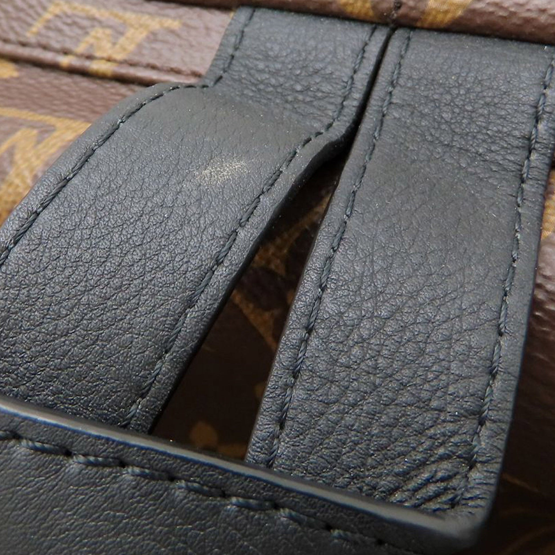 Louis Vuitton Monogram Palm Springs MM