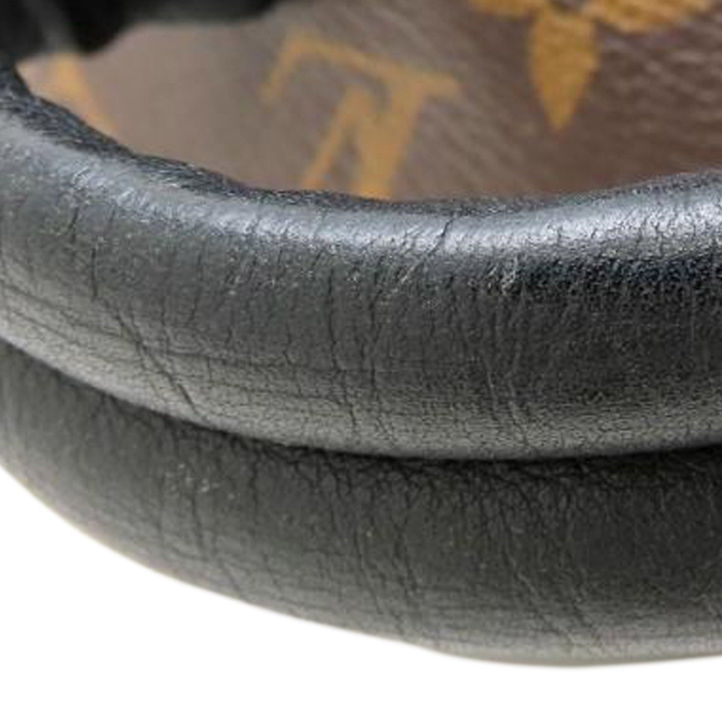 Louis Vuitton Monogram Palm Springs MM