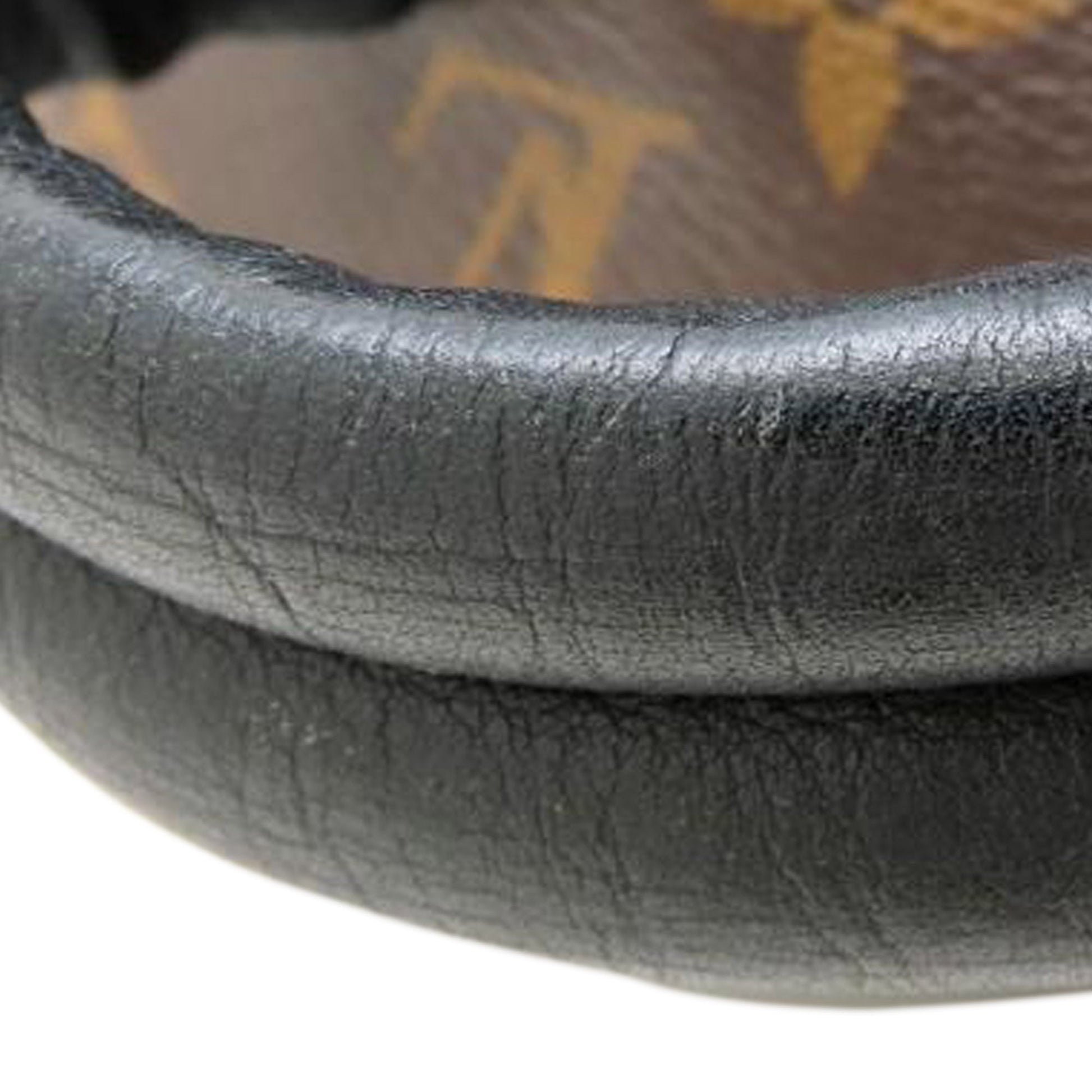 Louis Vuitton Monogram Palm Springs MM