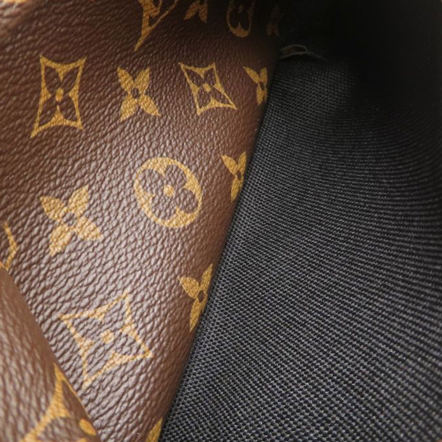 Louis Vuitton Monogram Palm Springs MM