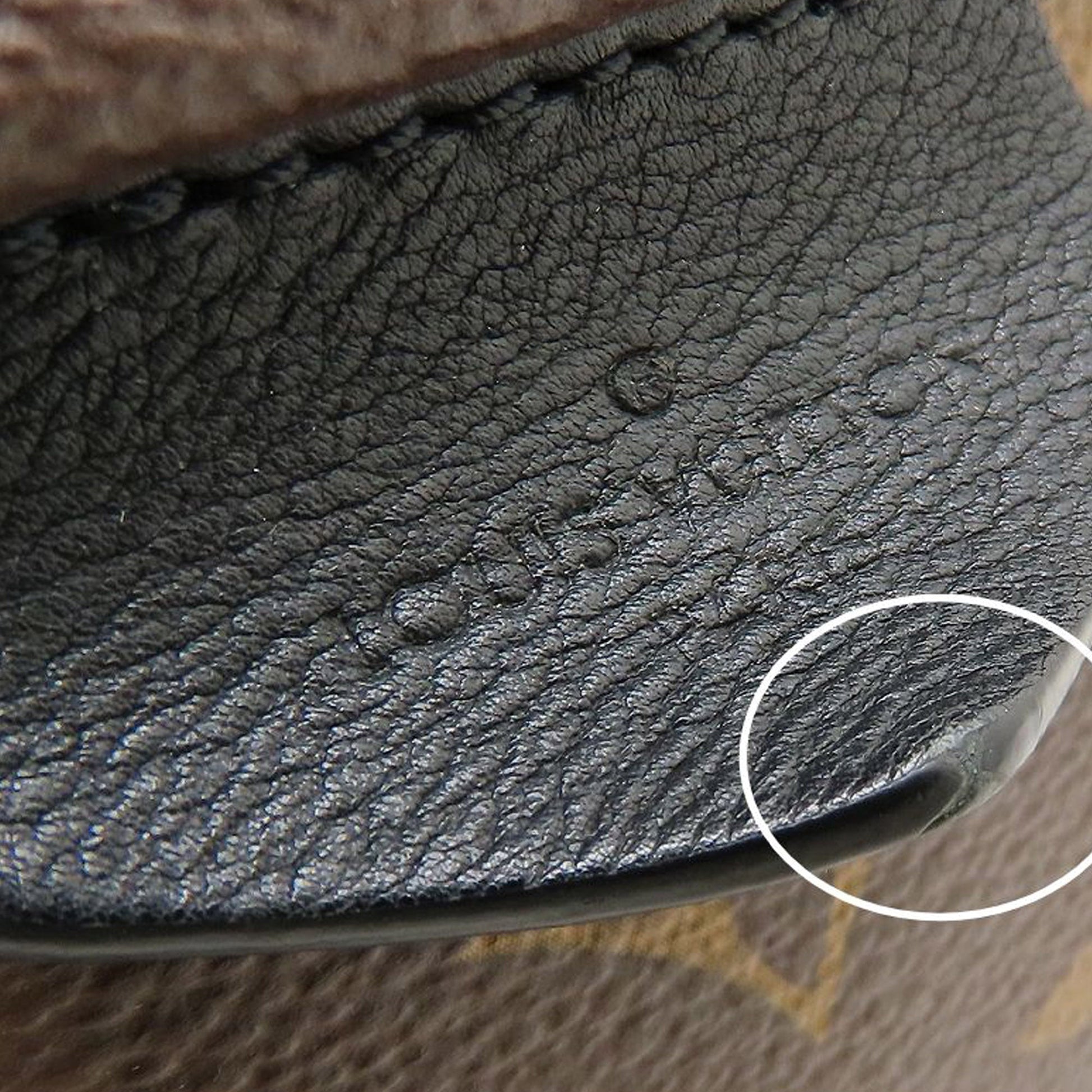 Louis Vuitton Monogram Palm Springs MM