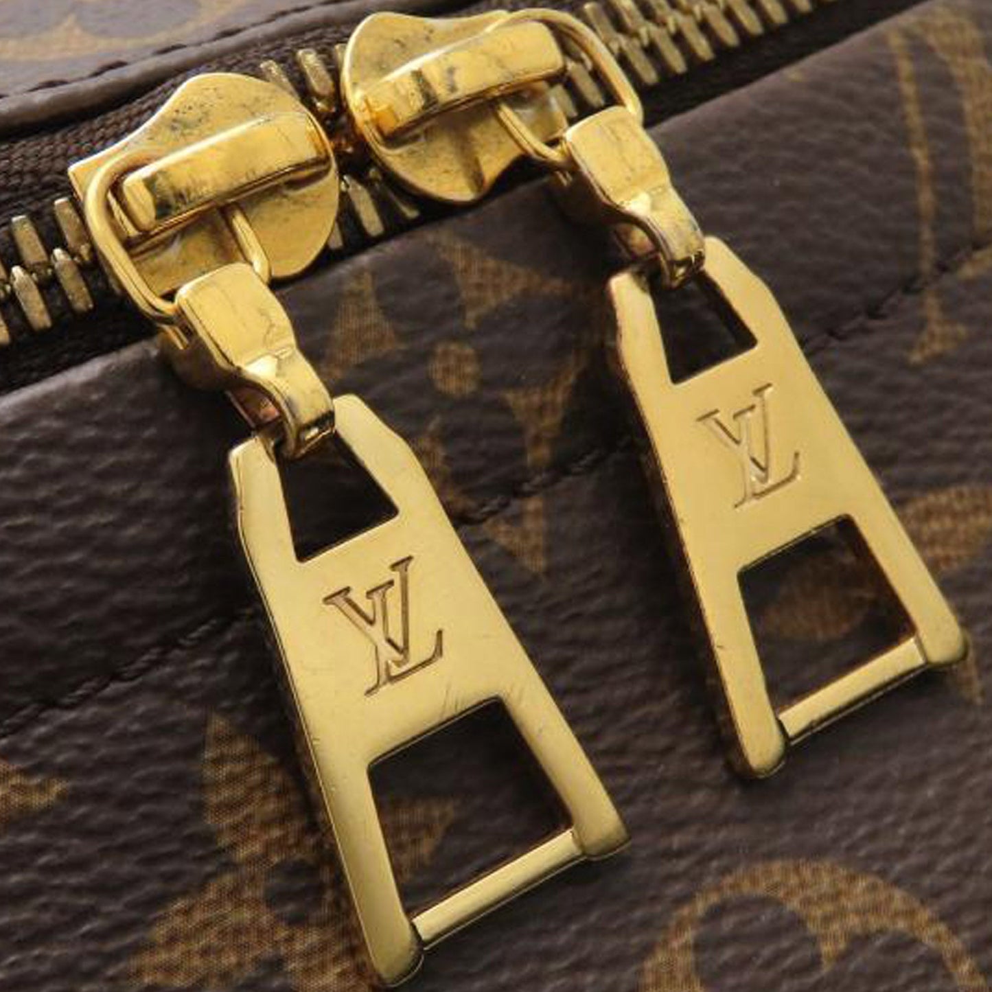 Louis Vuitton Monogram Palm Springs MM