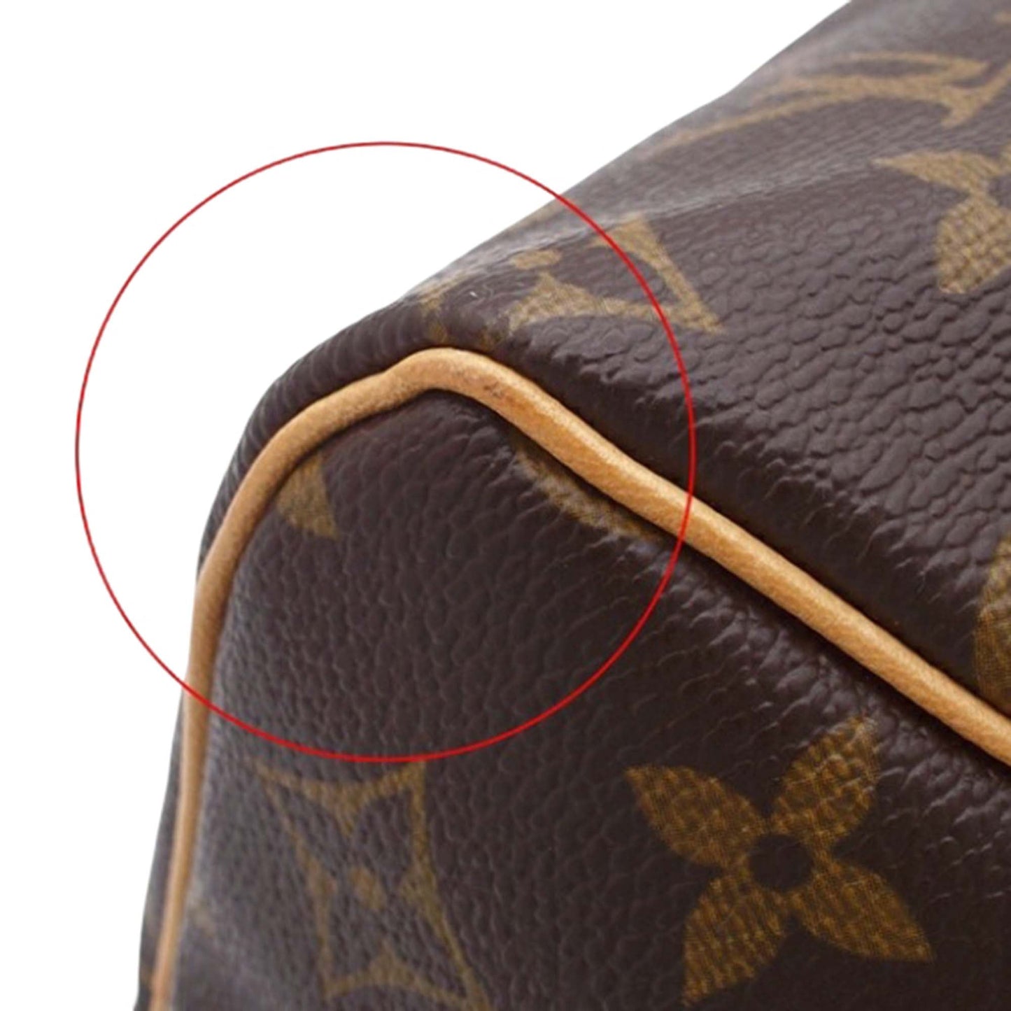 Louis Vuitton Monogram Speedy 25