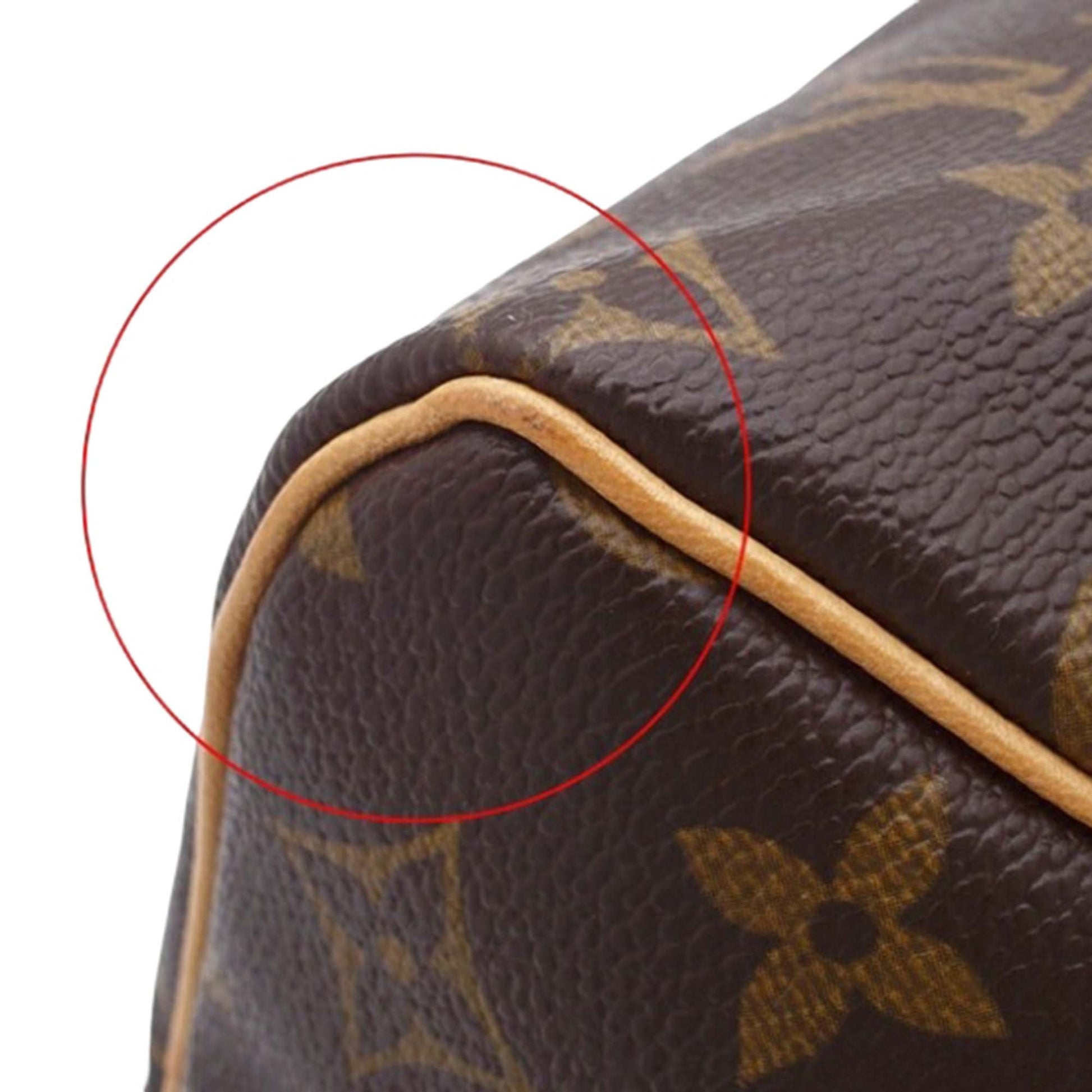 Louis Vuitton Monogram Speedy 25