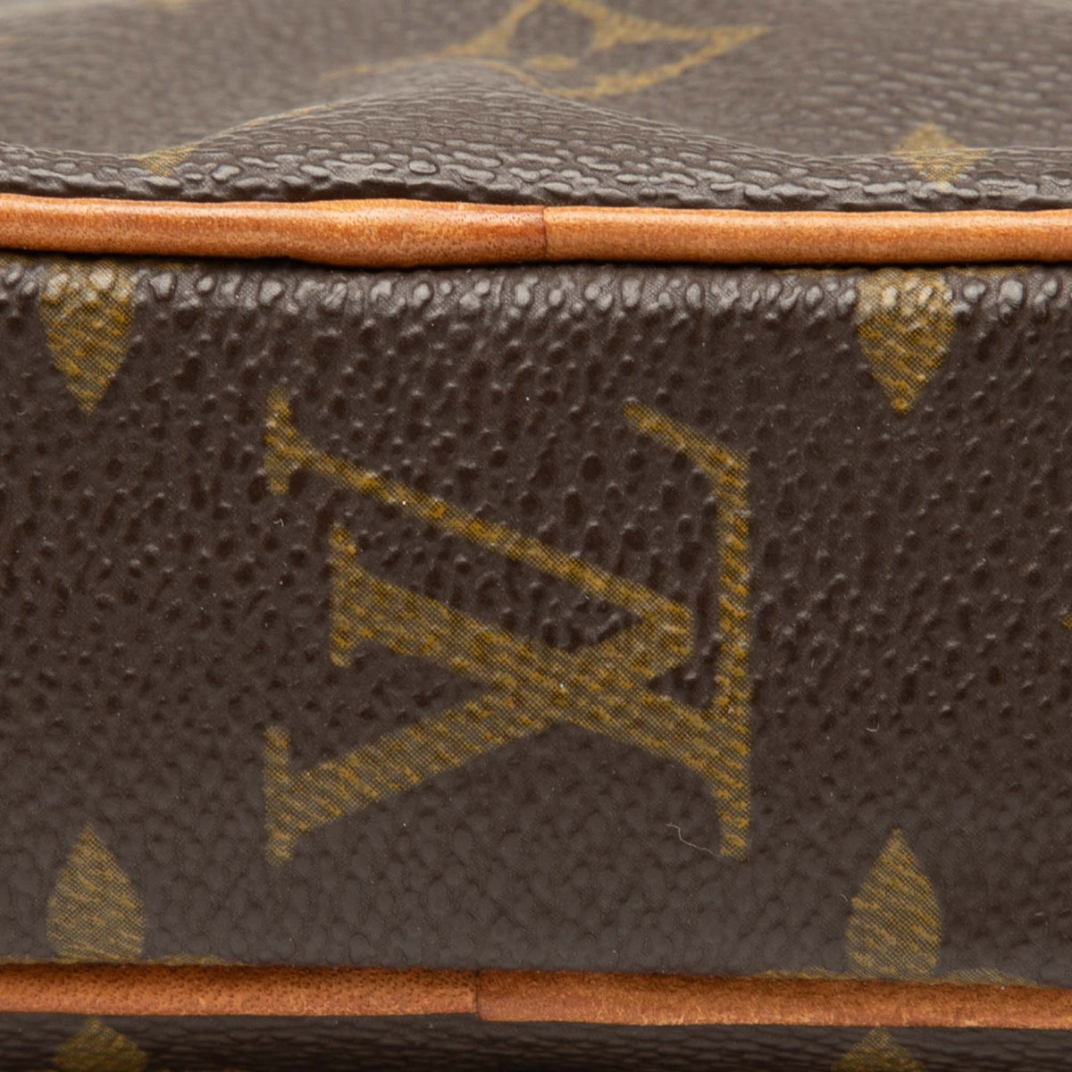 Louis Vuitton Monogram Mini Danube