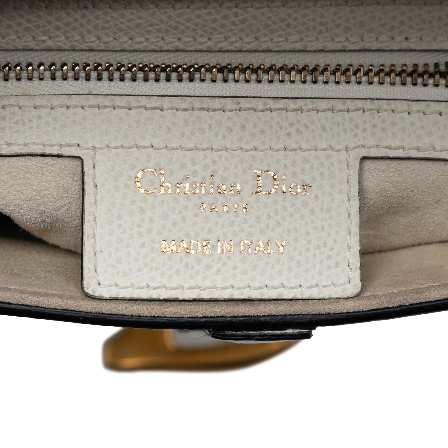 Dior Grained Calfskin Saddle Bag
