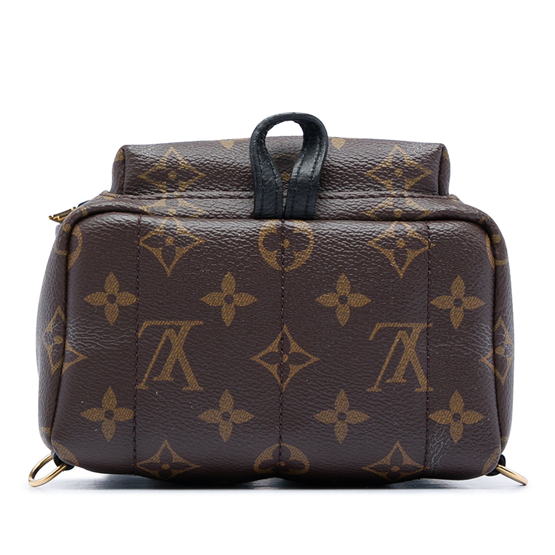 Louis Vuitton Monogram Mini Palm Springs