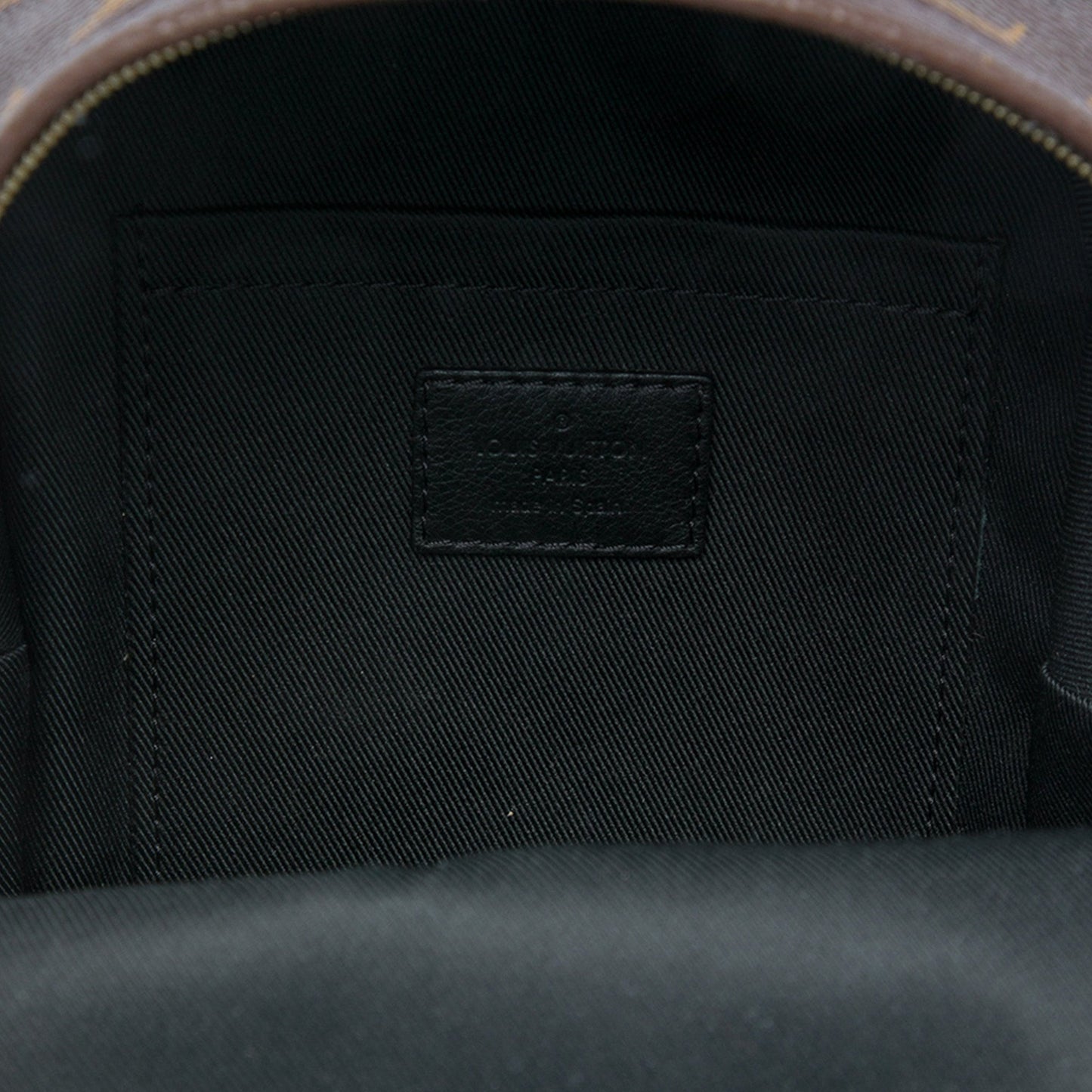 Louis Vuitton Monogram Mini Palm Springs