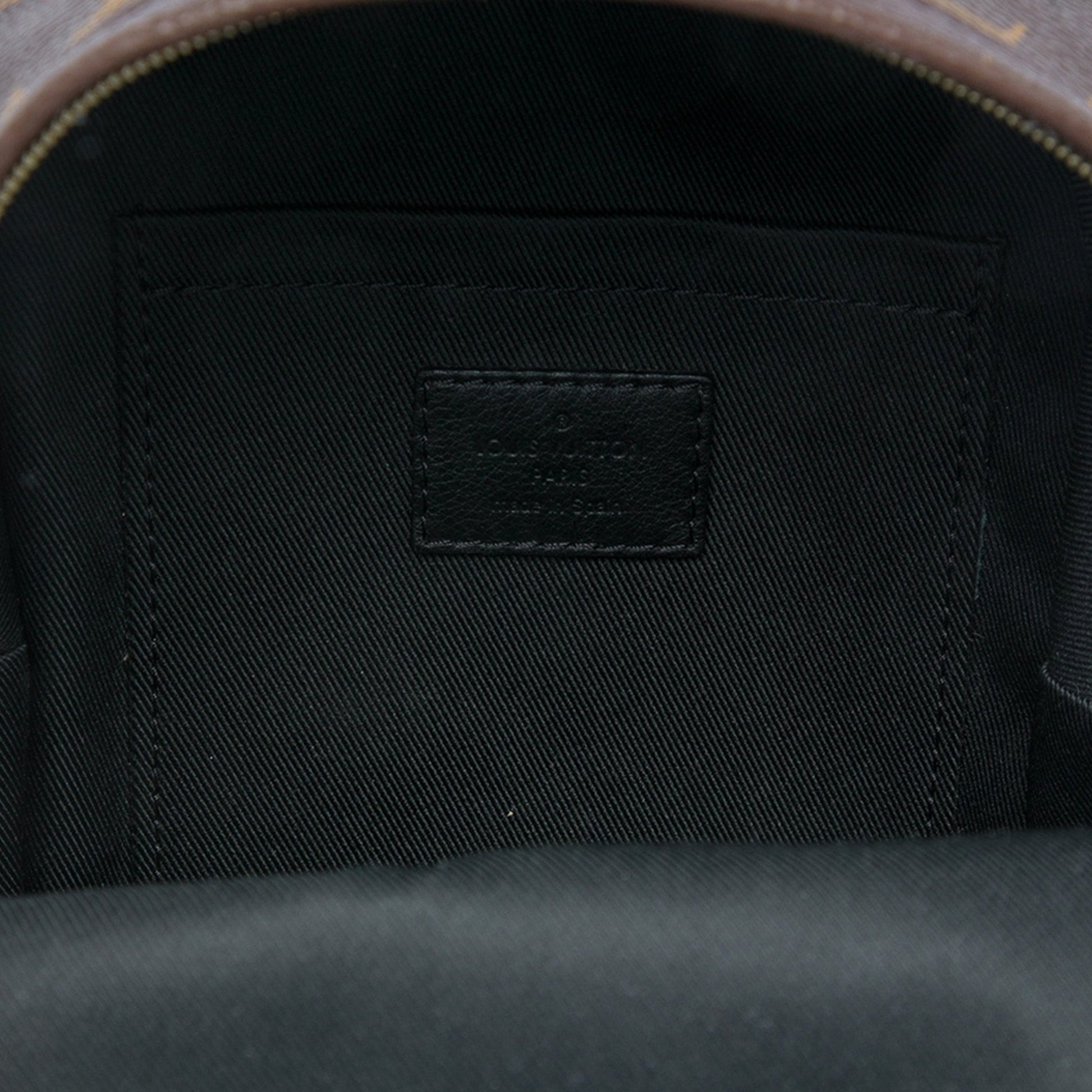 Louis Vuitton Monogram Mini Palm Springs