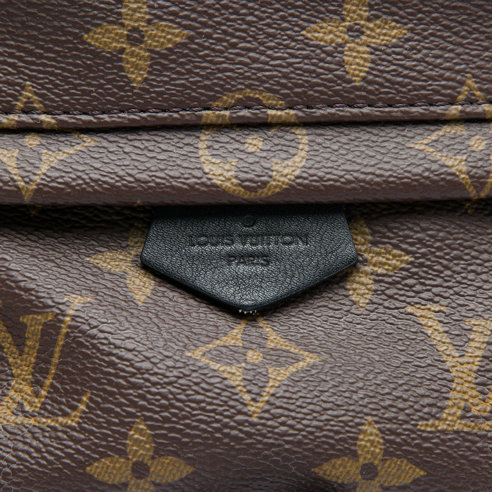 Louis Vuitton Monogram Mini Palm Springs
