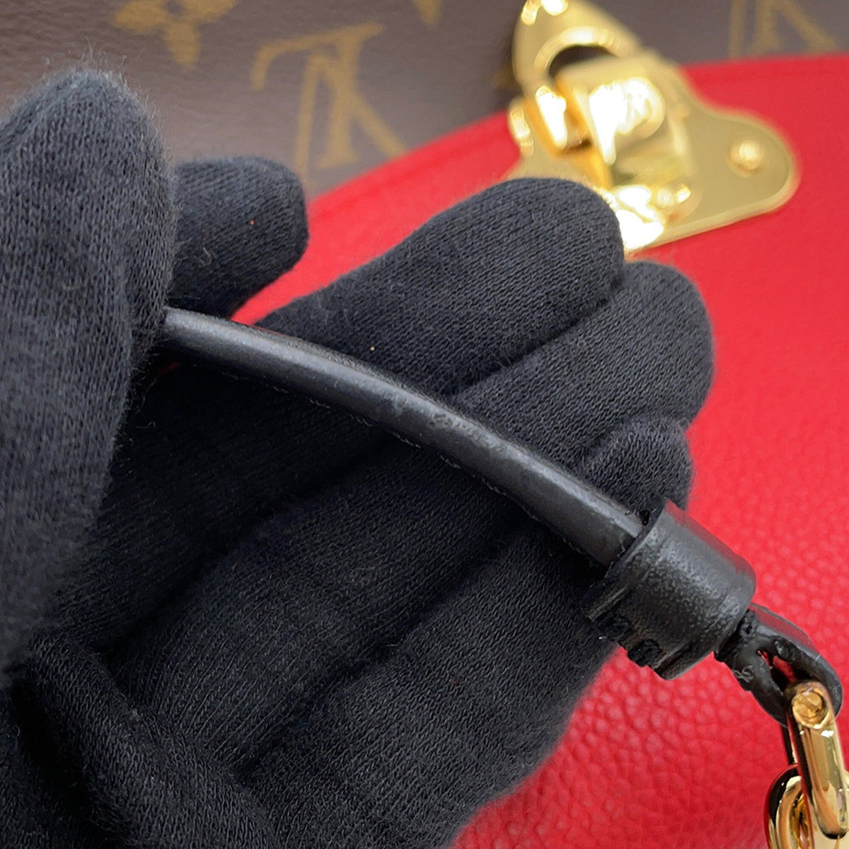Louis Vuitton Monogram Saint Placide