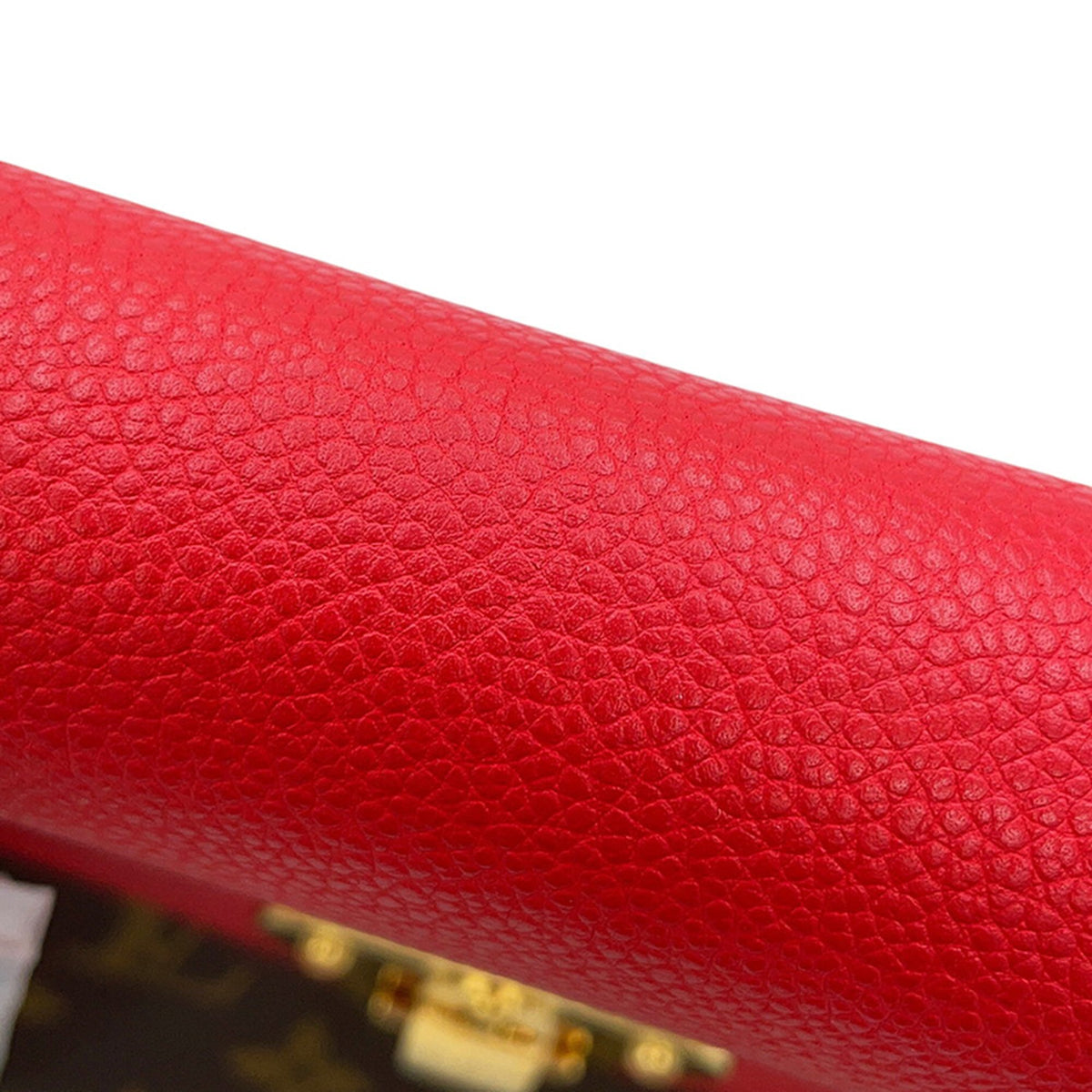 Louis Vuitton Monogram Saint Placide