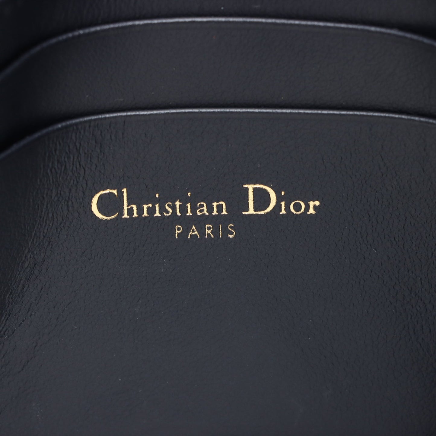 Dior Oblique Canvas Saddle Clutch