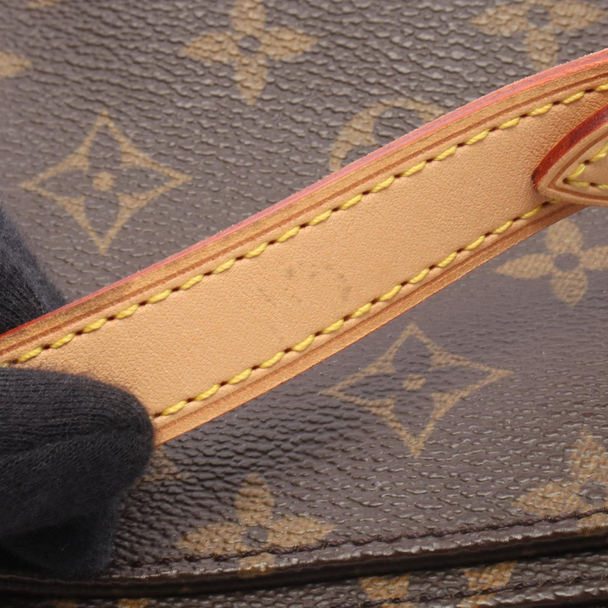 Louis Vuitton Monogram Viva Cite PM