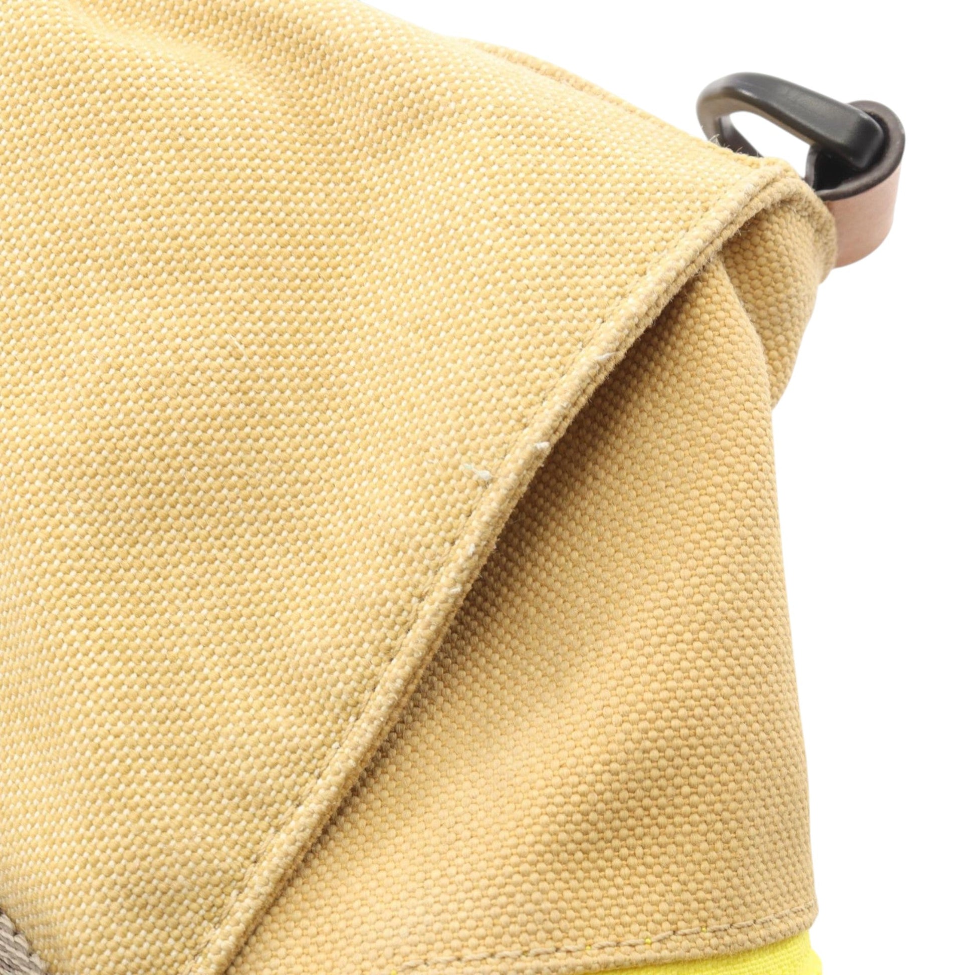 LOEWE Canvas Eye Nature Tote