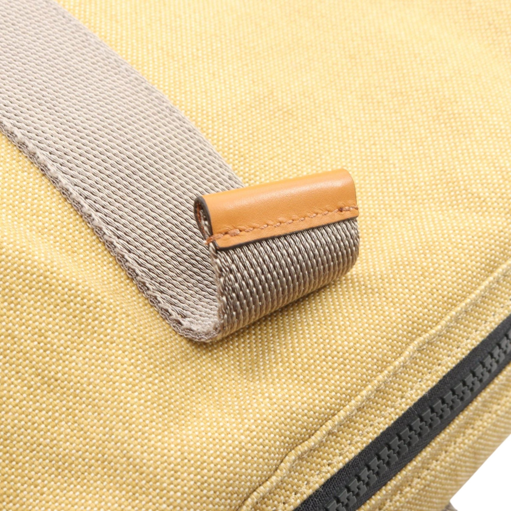 LOEWE Canvas Eye Nature Tote