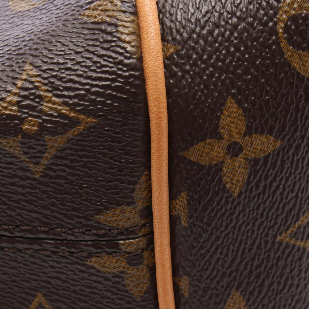 Louis Vuitton Monogram Totally PM