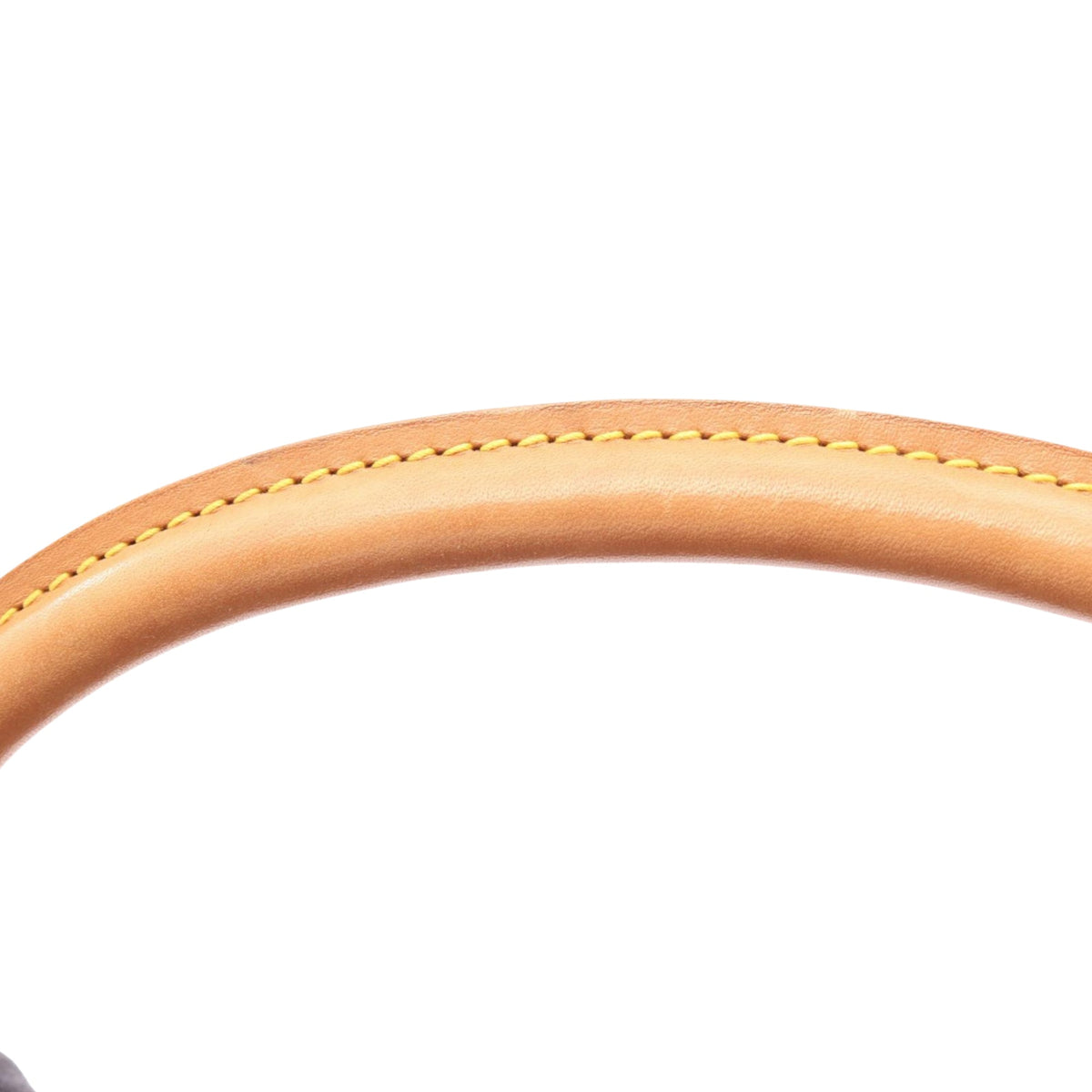 Louis Vuitton Monogram Mini Looping