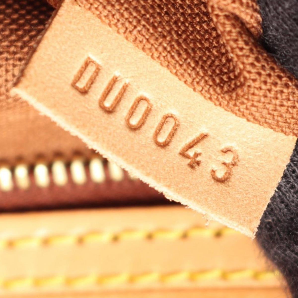 Louis Vuitton Monogram Mini Looping