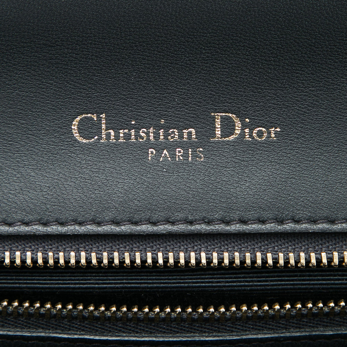 Dior Medium Crackled Deerskin Diorama Flap