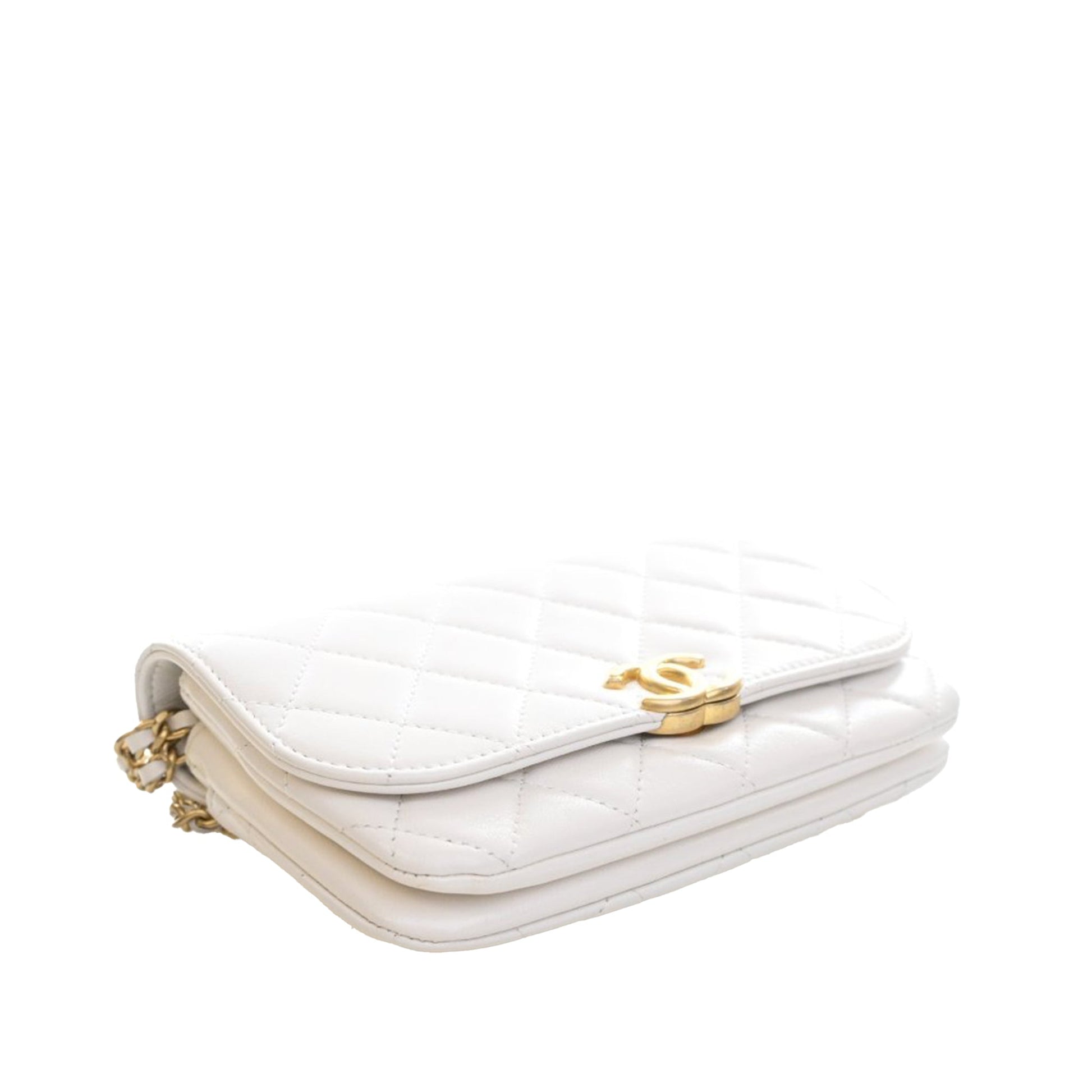 Mini Quilted Lambskin Double Pocket Flap