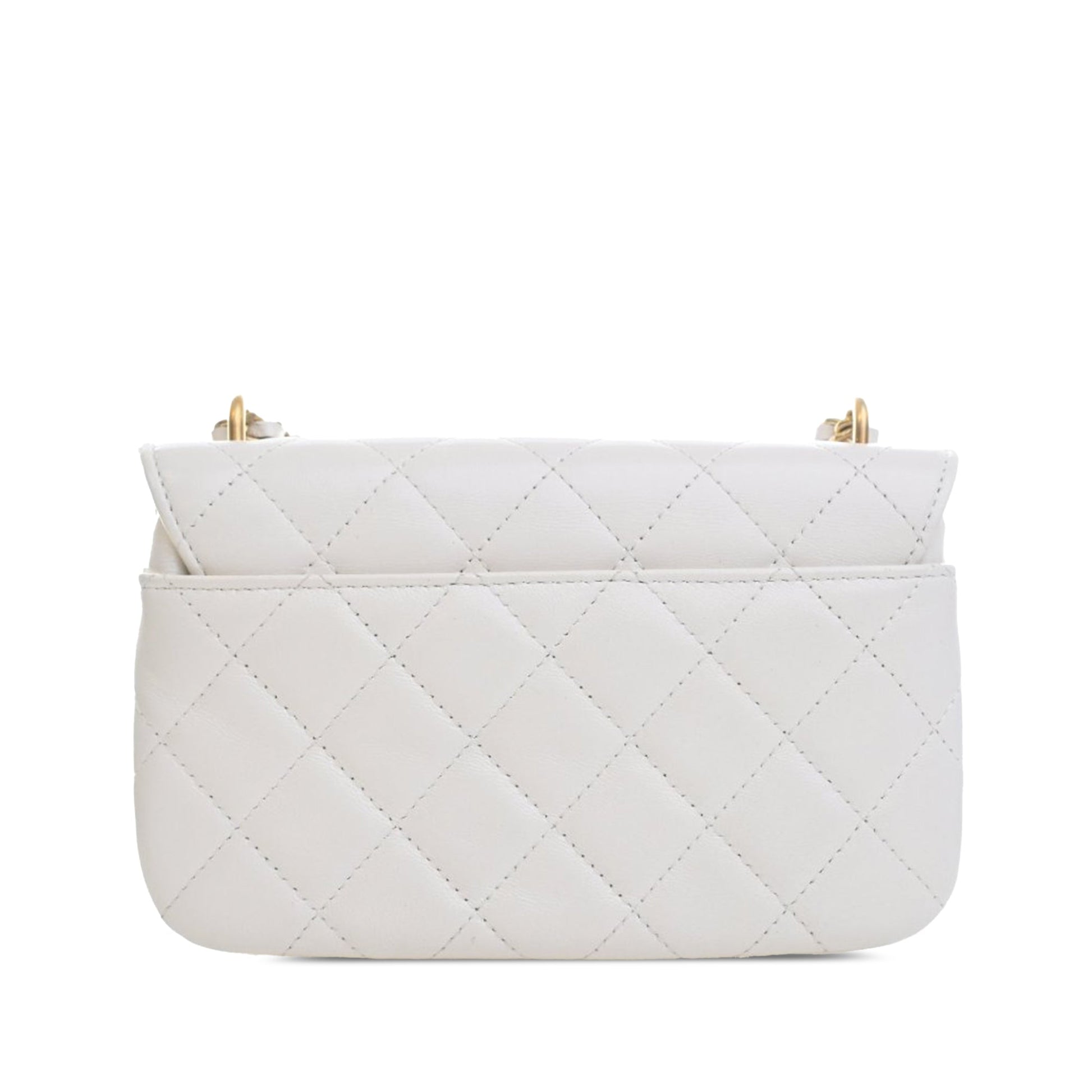 Mini Quilted Lambskin Double Pocket Flap