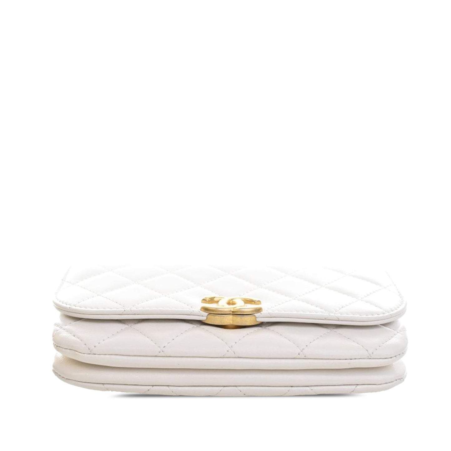 Mini Quilted Lambskin Double Pocket Flap