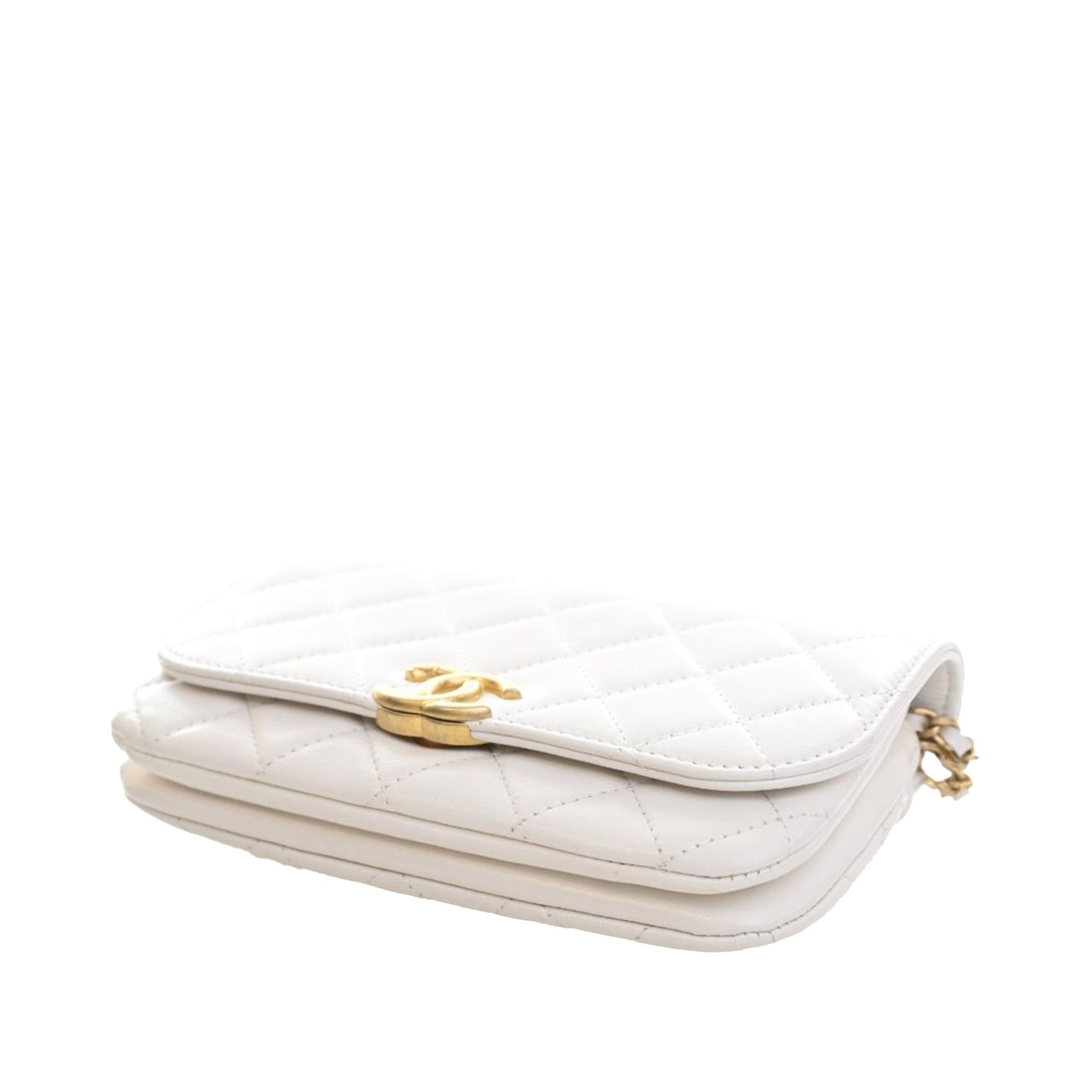 Mini Quilted Lambskin Double Pocket Flap