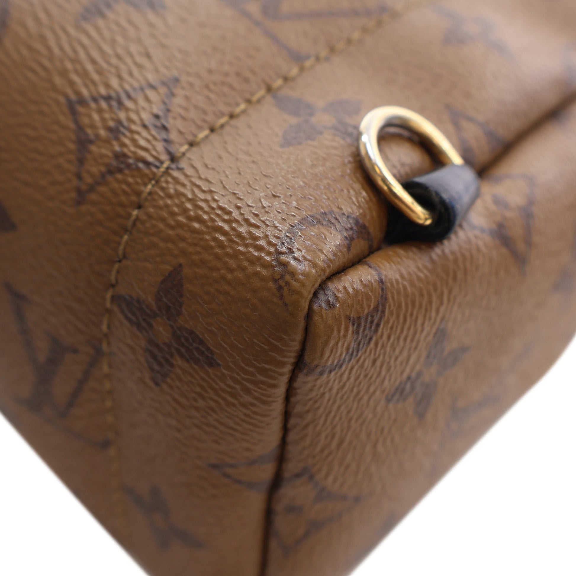 Louis Vuitton Monogram Reverse Mini Palm Springs