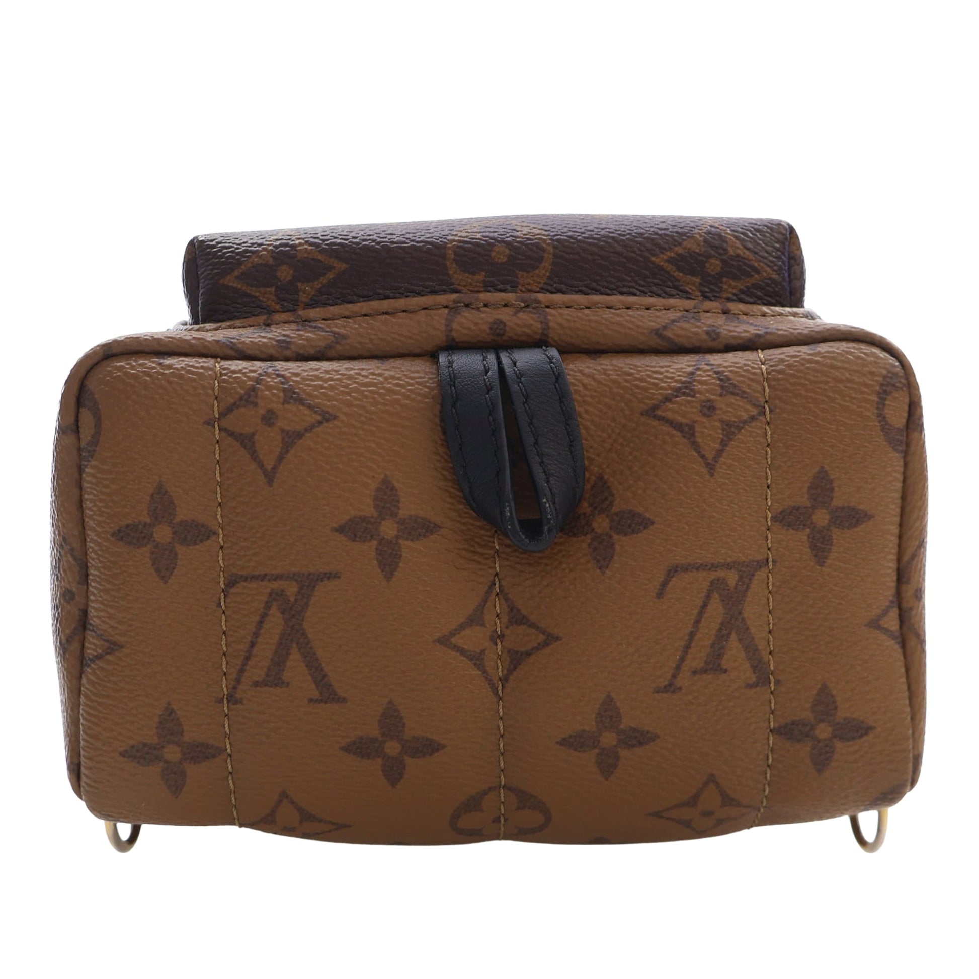 Louis Vuitton Monogram Reverse Mini Palm Springs