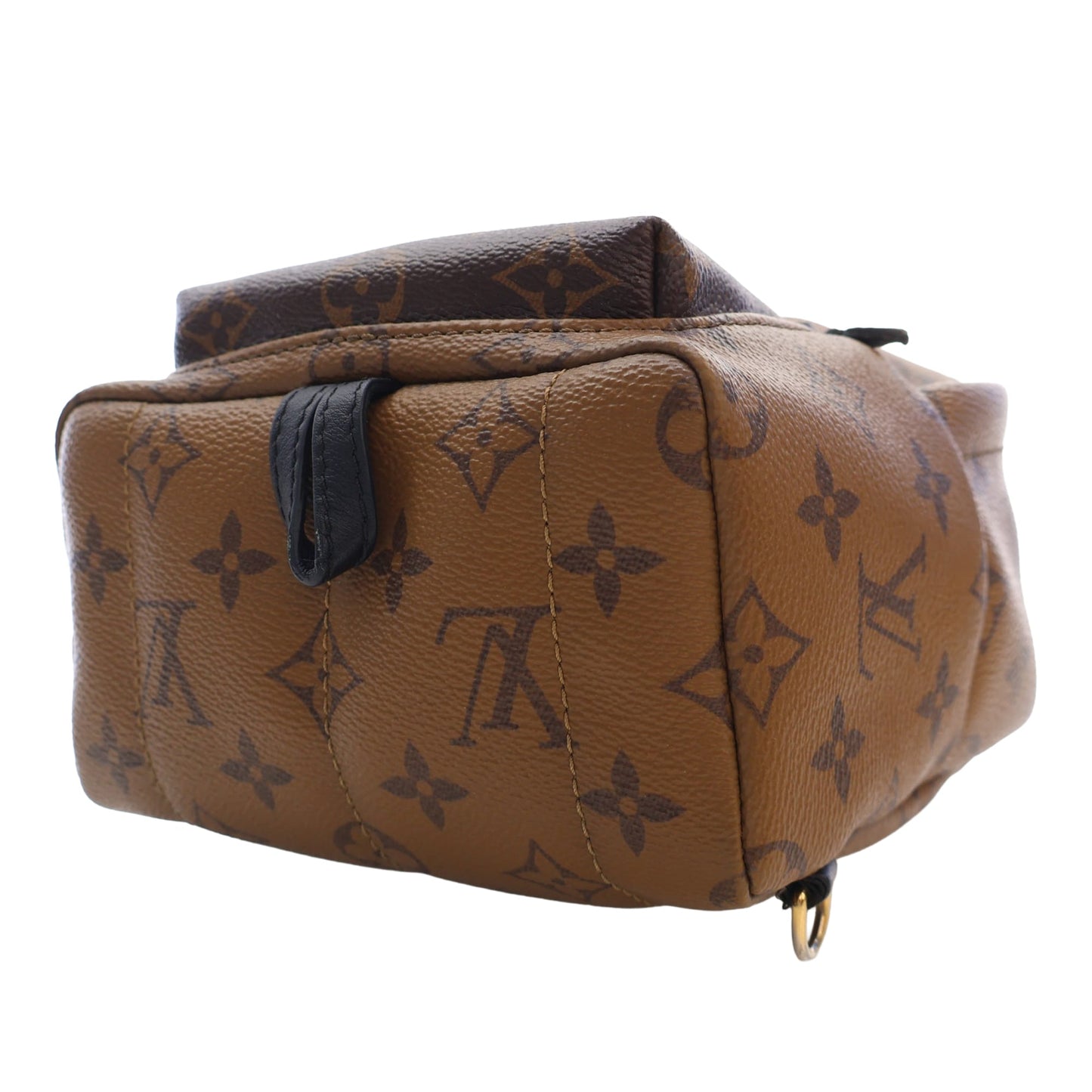 Louis Vuitton Monogram Reverse Mini Palm Springs