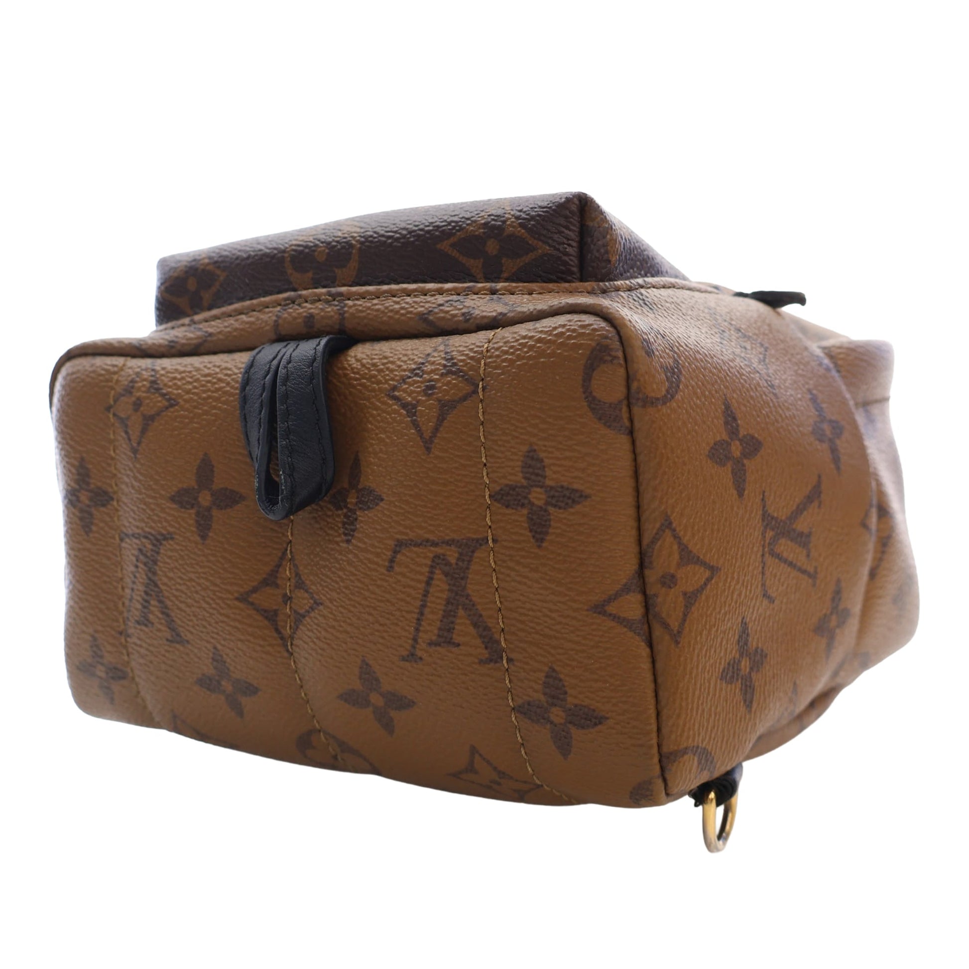 Louis Vuitton Monogram Reverse Mini Palm Springs