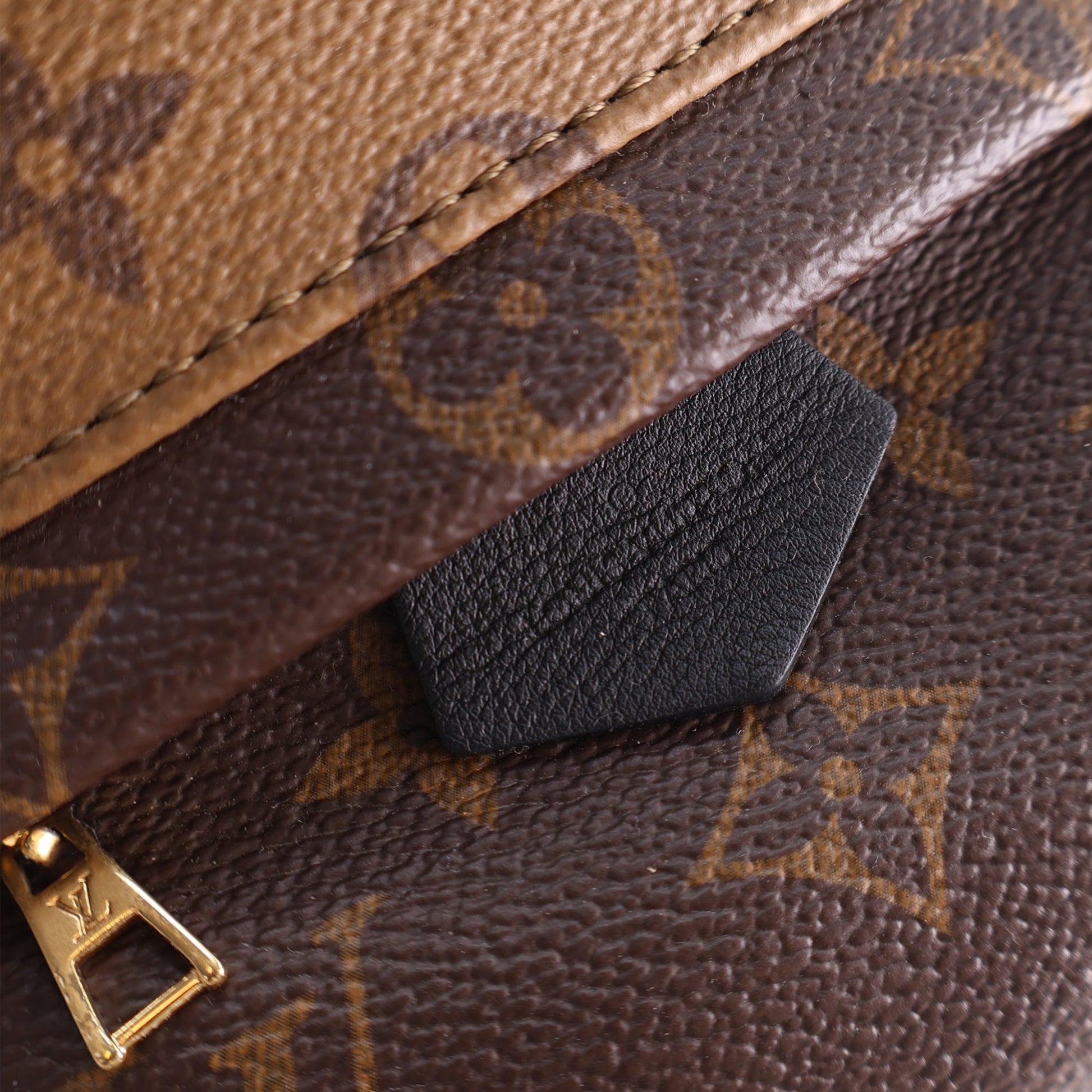 Louis Vuitton Monogram Reverse Mini Palm Springs