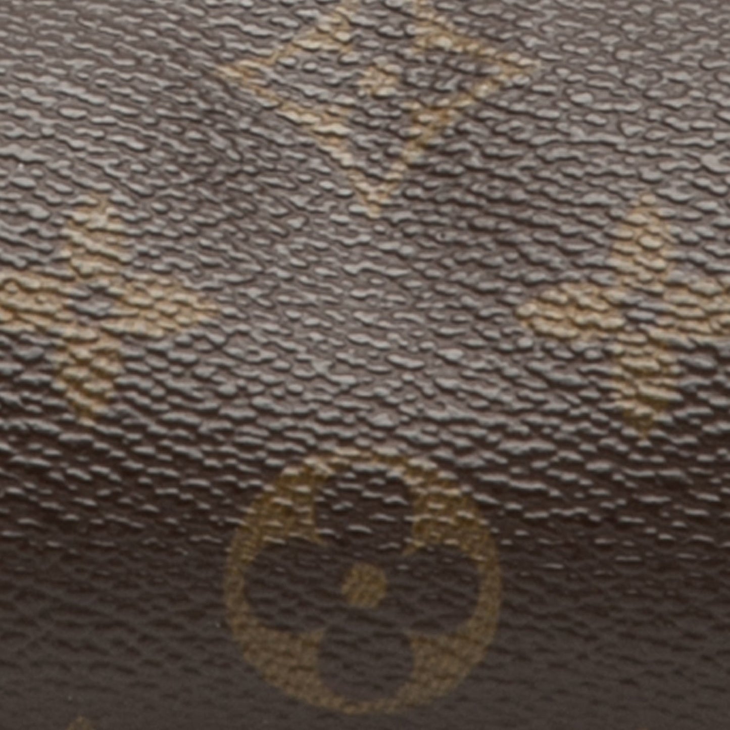 Louis Vuitton Monogram Papillon Pochette