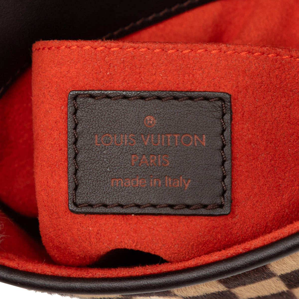 Louis Vuitton Damier Sauvage Gazelle