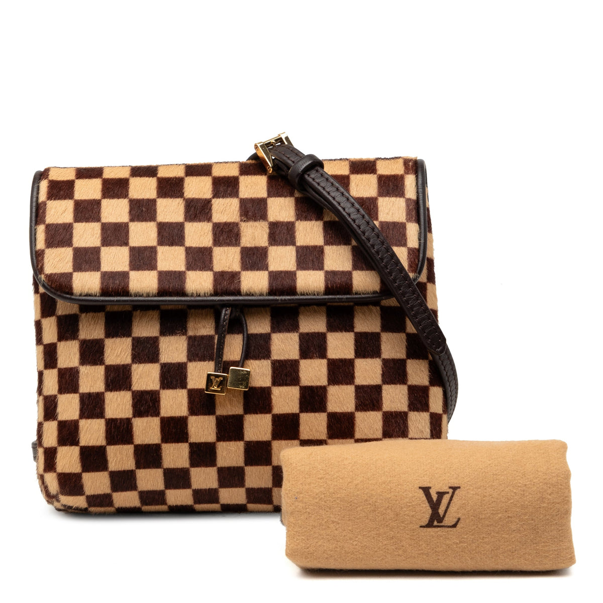 Louis Vuitton Damier Sauvage Gazelle